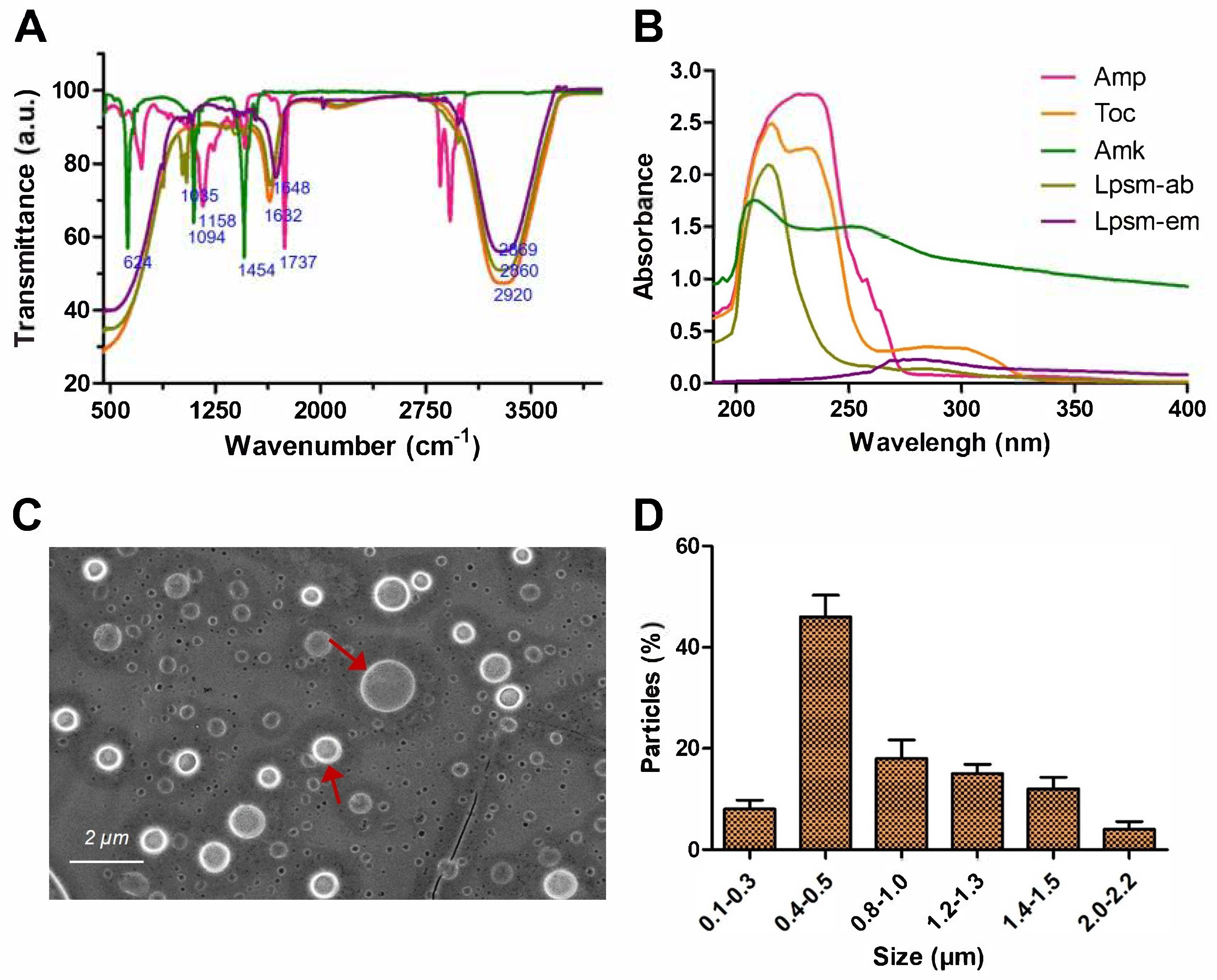 Medicines 12 00014 g002
