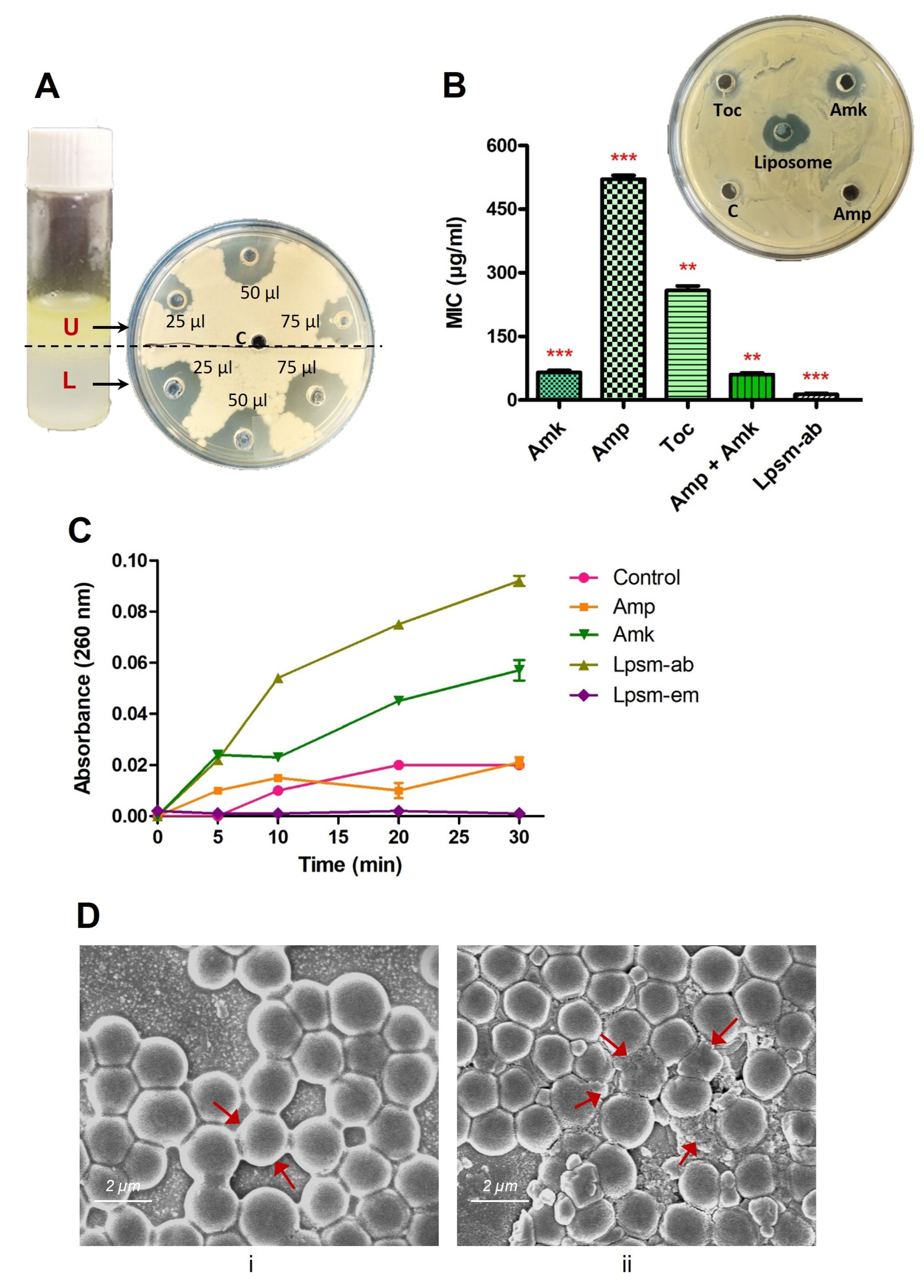 Medicines 12 00014 g004