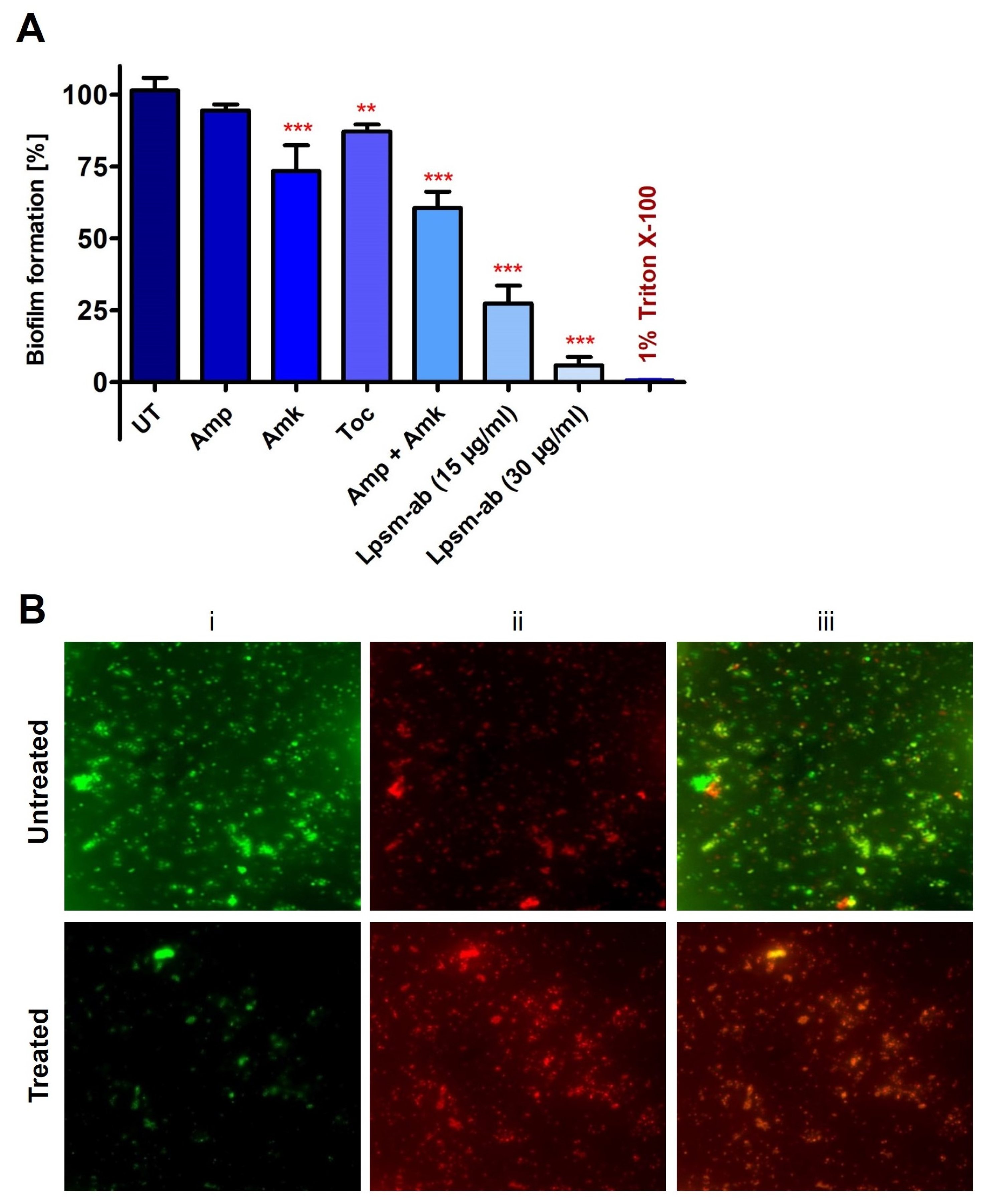 Medicines 12 00014 g005