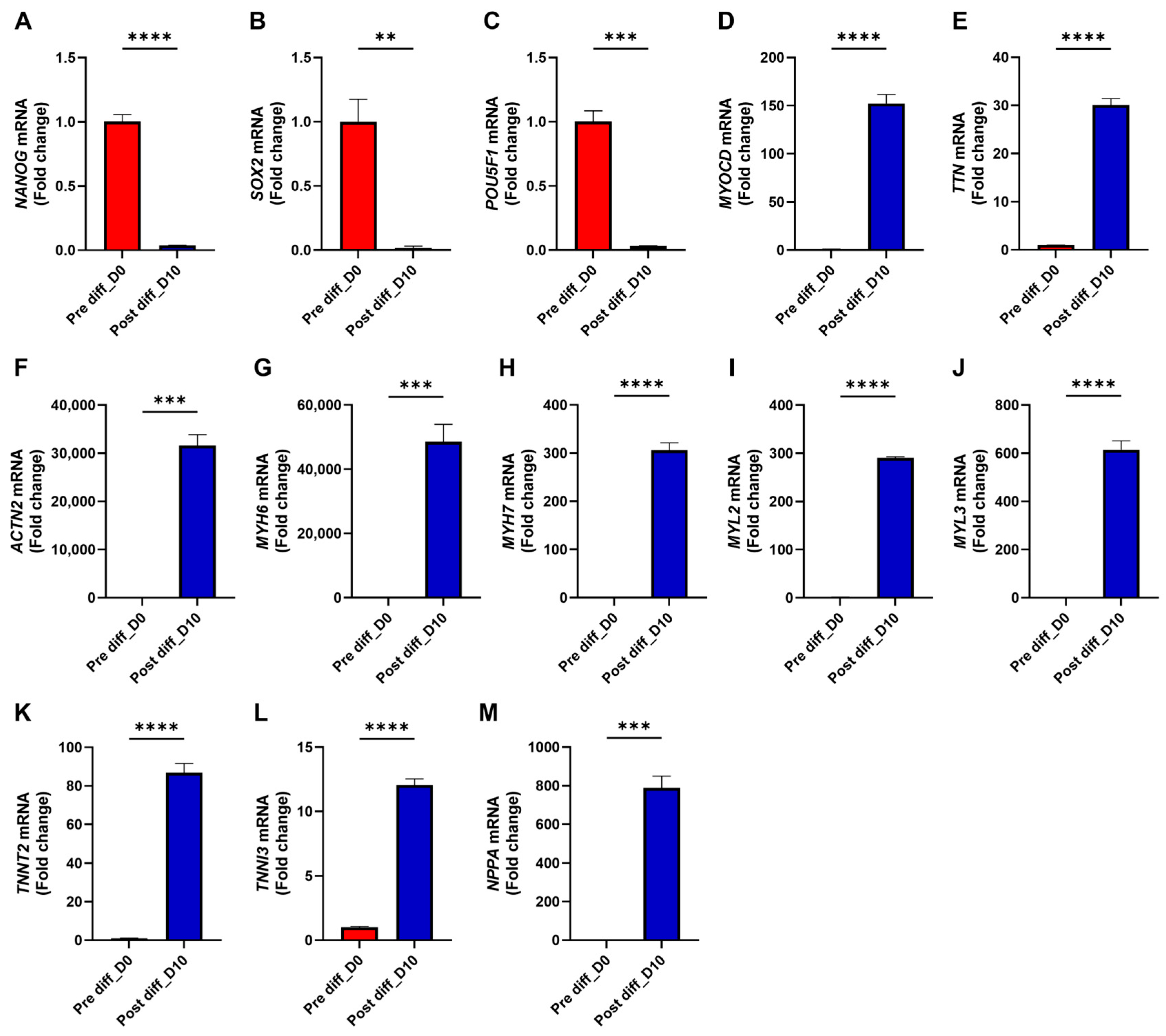 Medicines 12 00026 g002