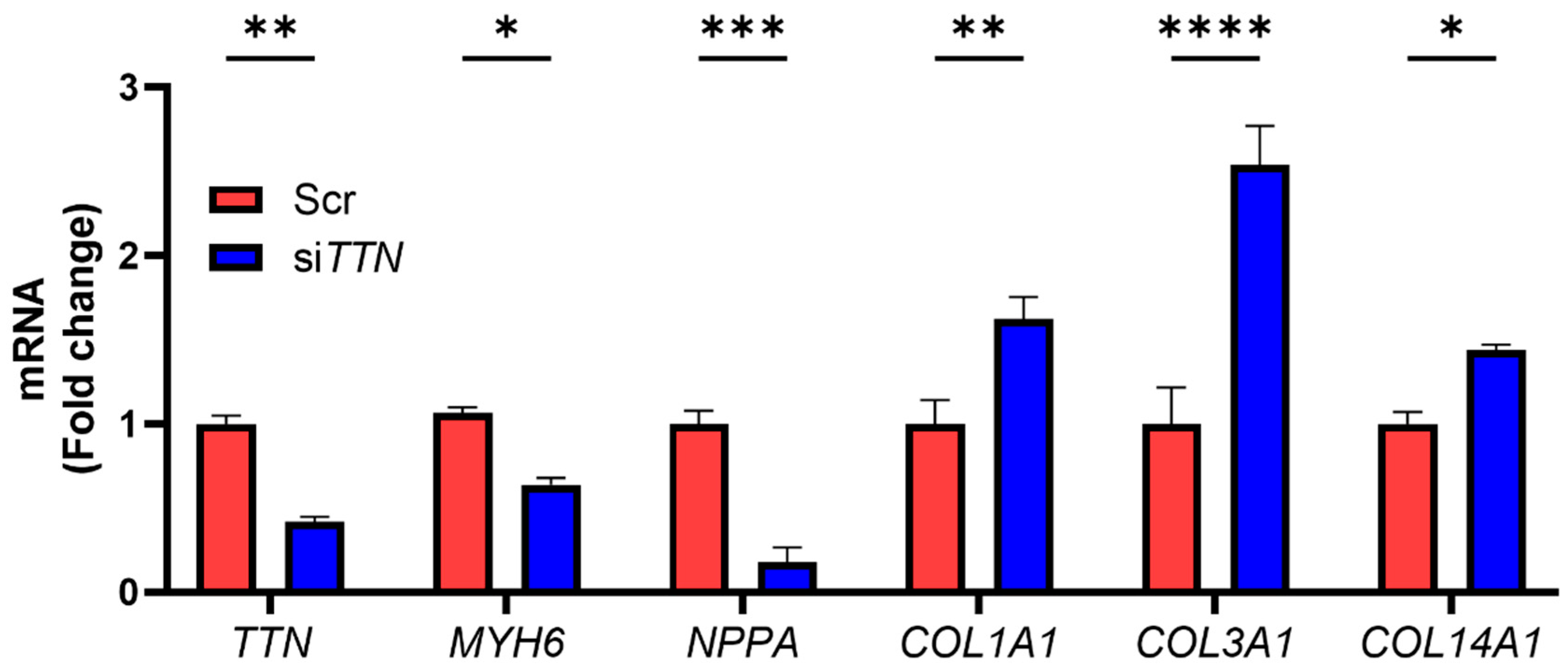 Medicines 12 00026 g003