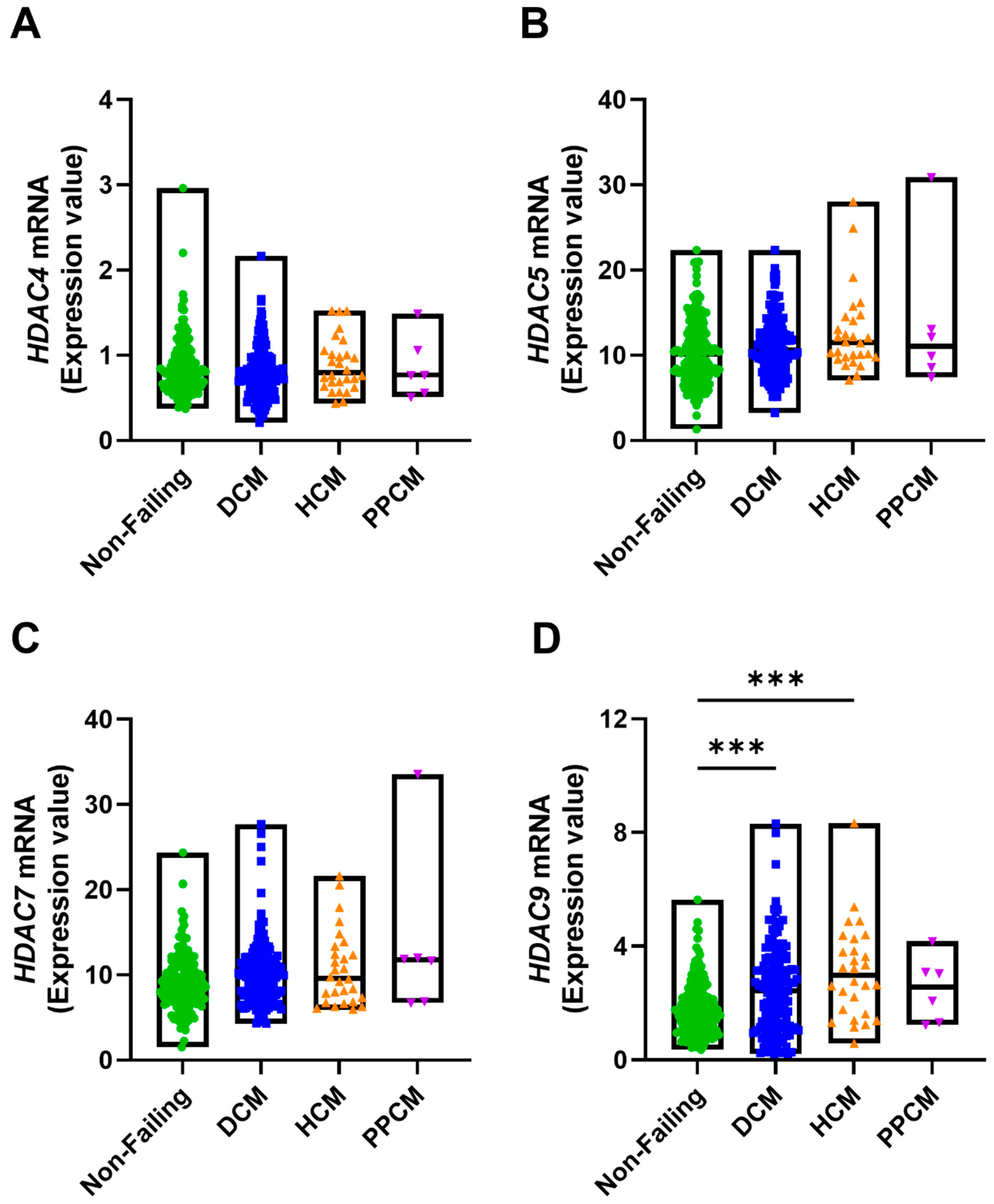Medicines 12 00026 g004