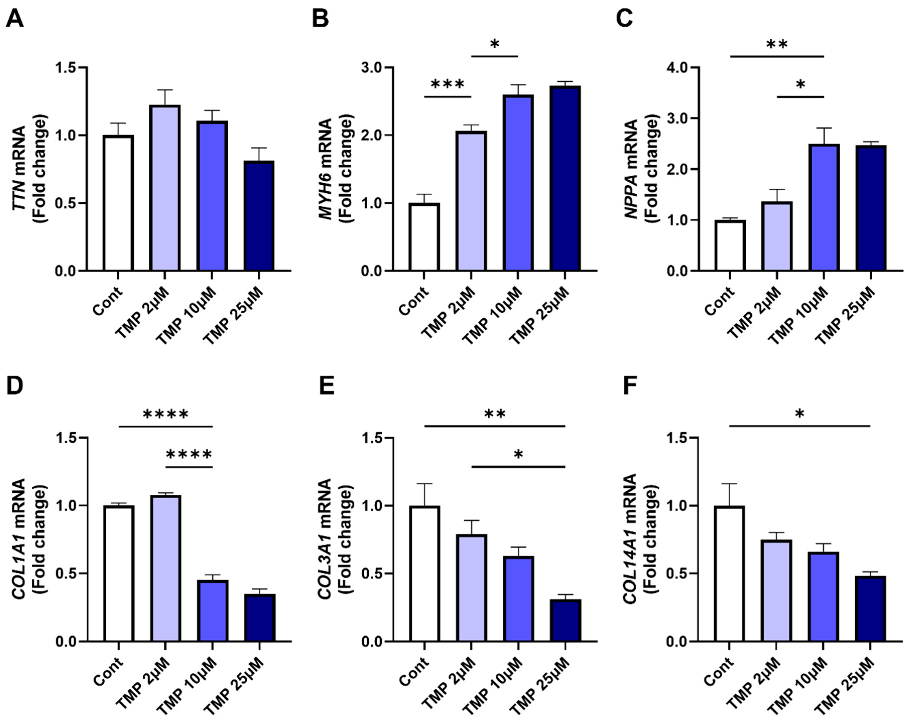 Medicines 12 00026 g005