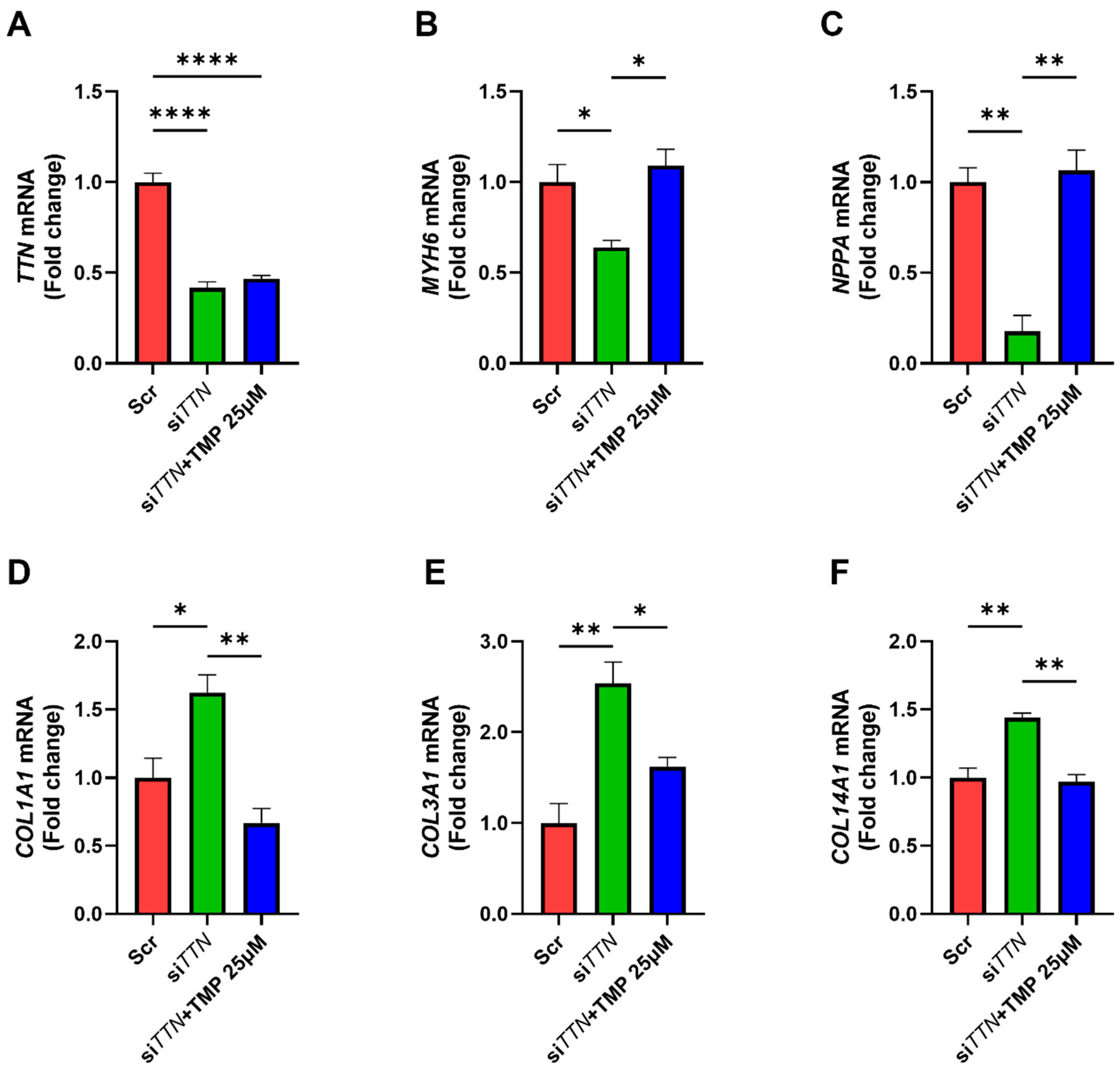 Medicines 12 00026 g006
