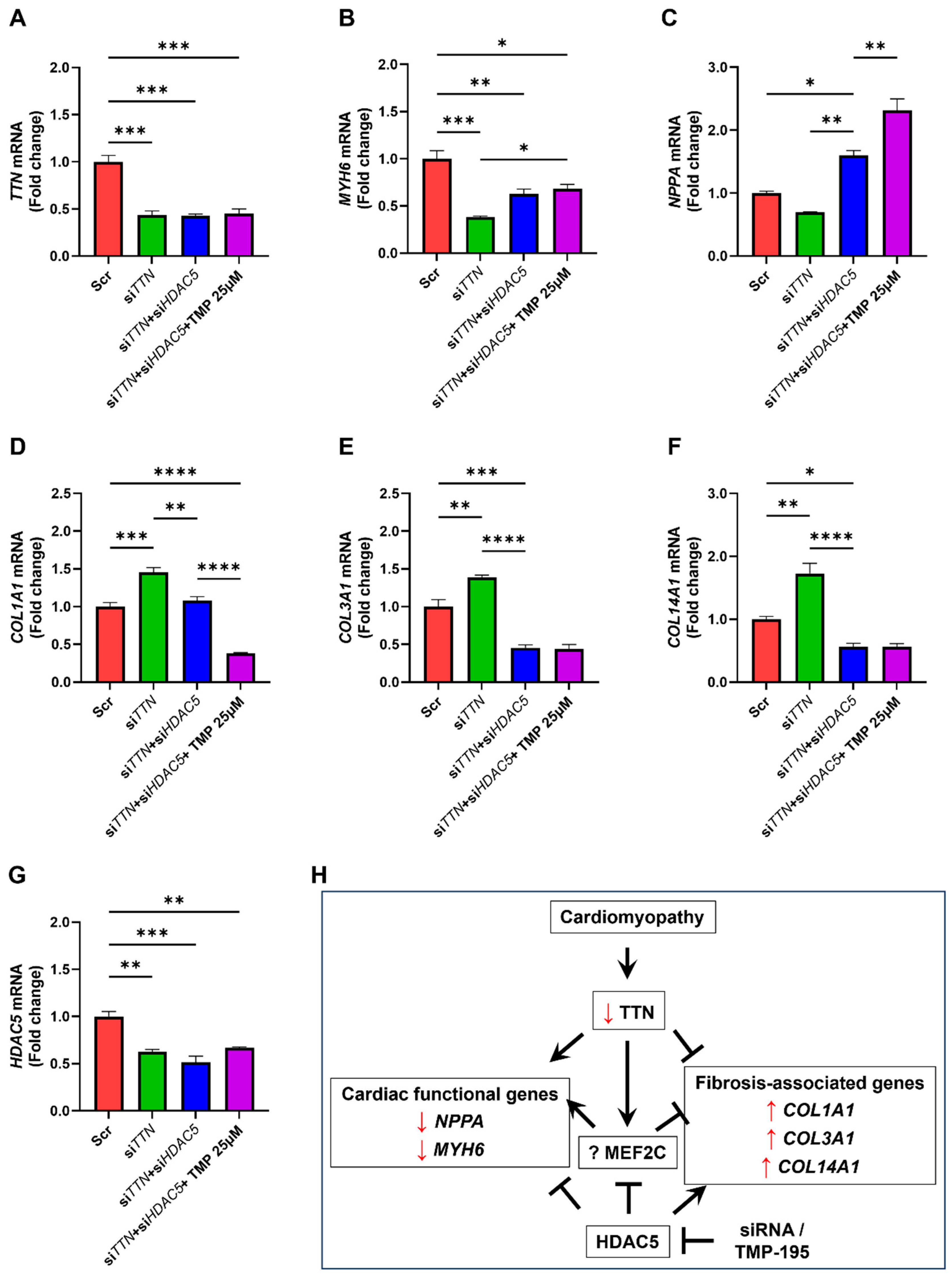 Medicines 12 00026 g008