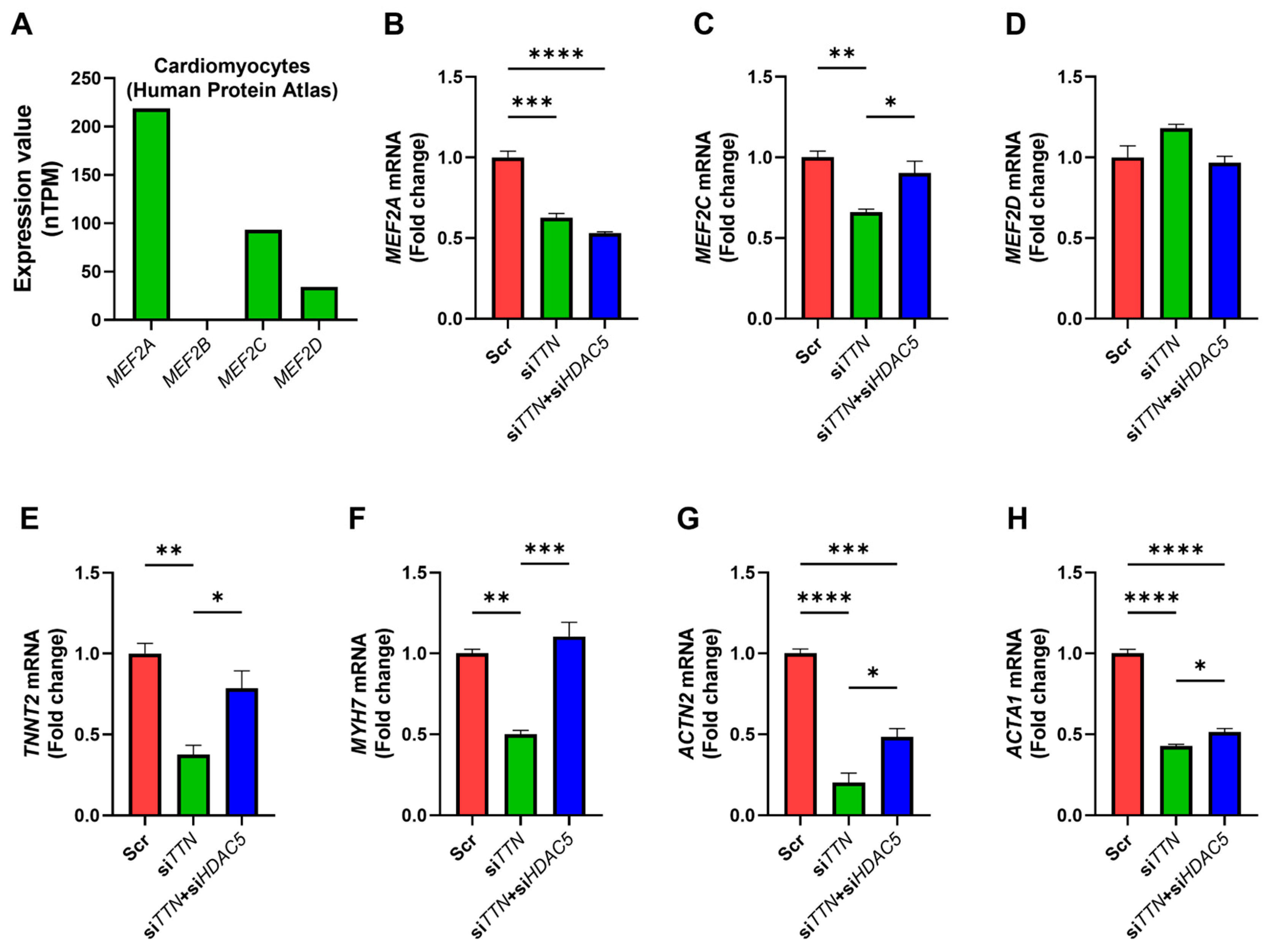 Medicines 12 00026 g009