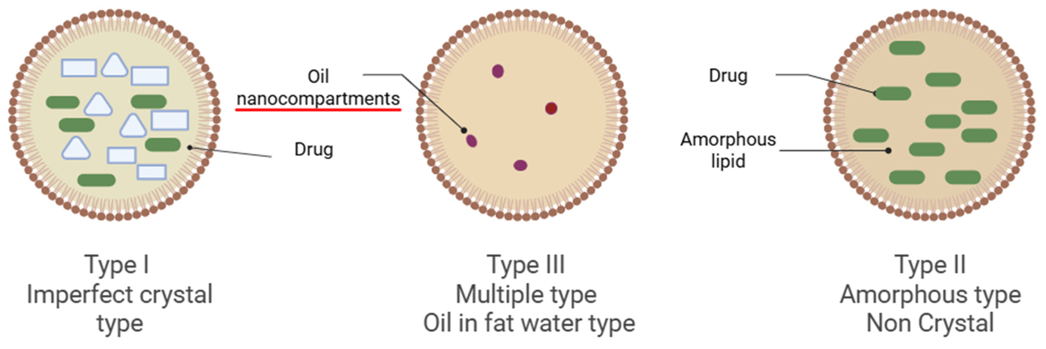 Nlc Types Antioxidant Delivery Revisited: The Promise of Nanostructured Lipid ...