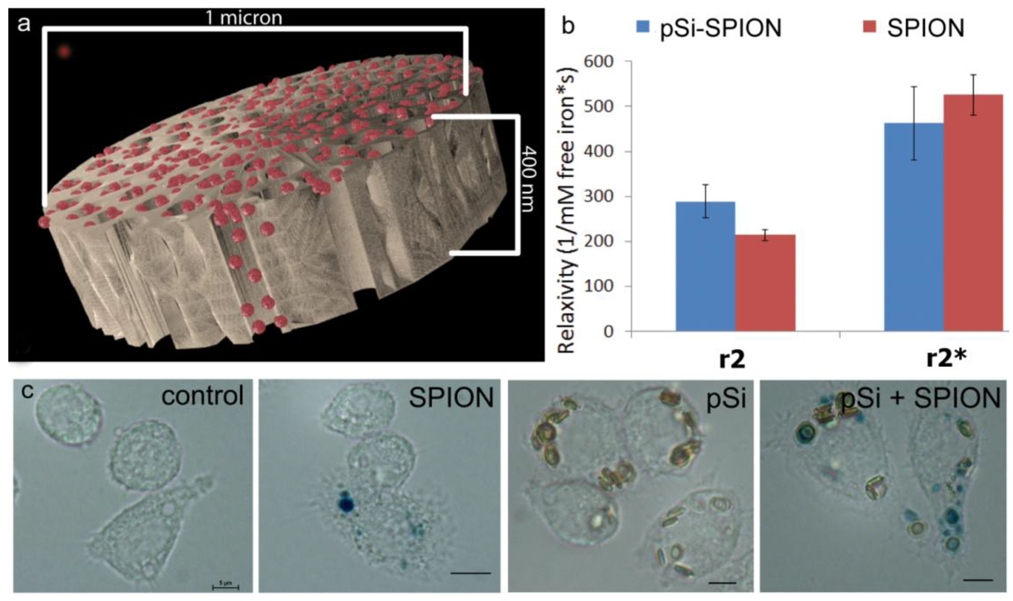 Medsci 02 00051 g003 1024