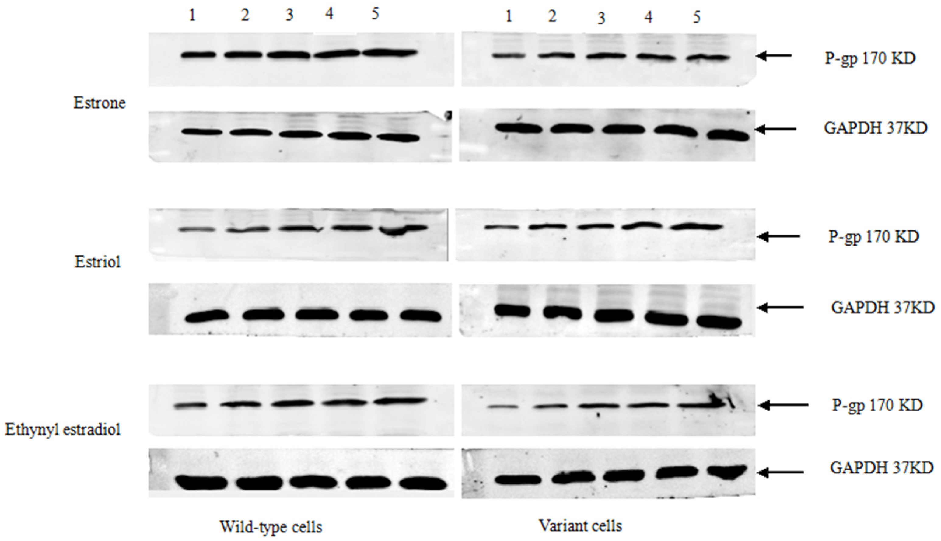 Medsci 03 00124 g002 1024