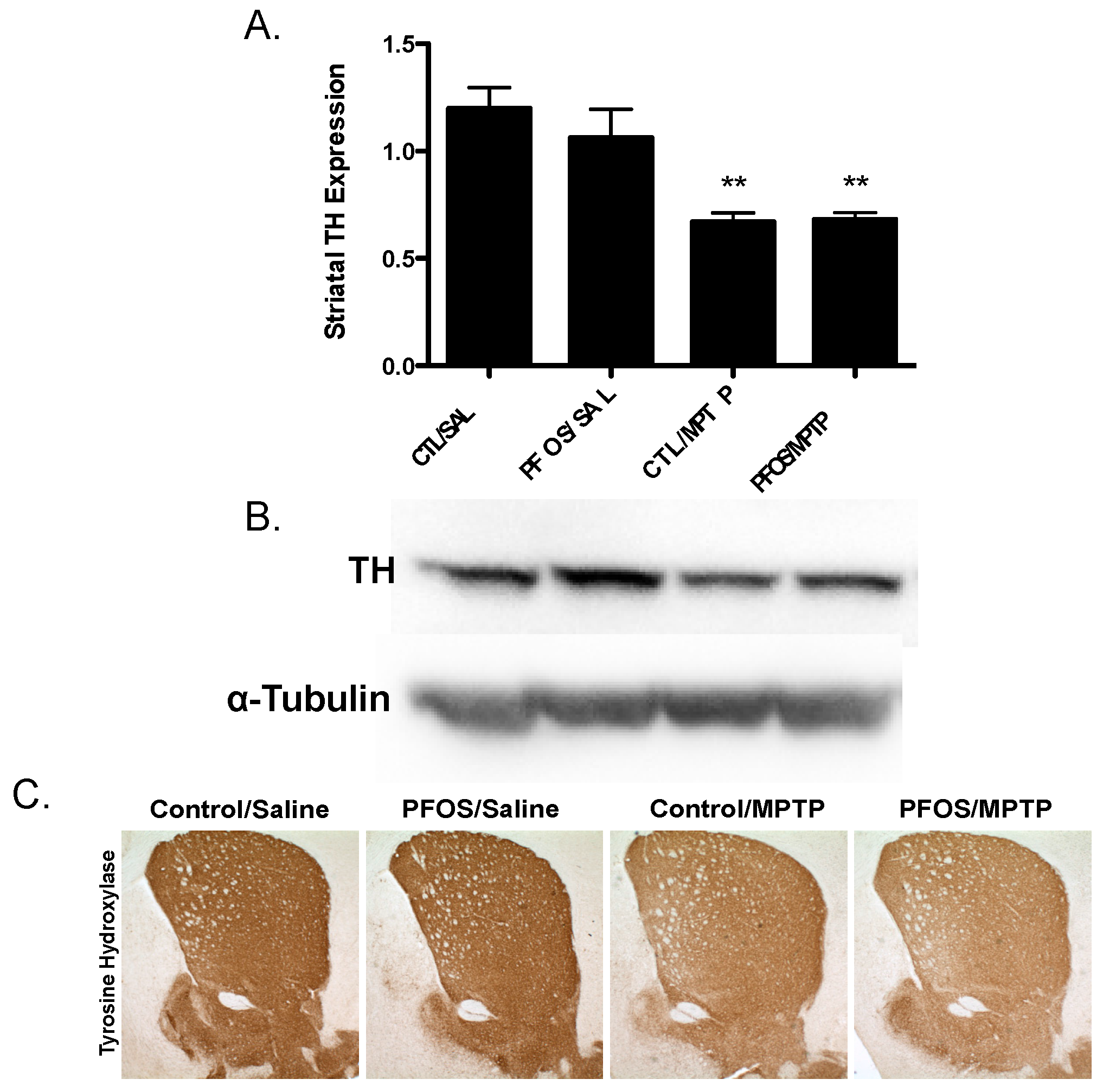 Medsci 04 00013 g005 1024