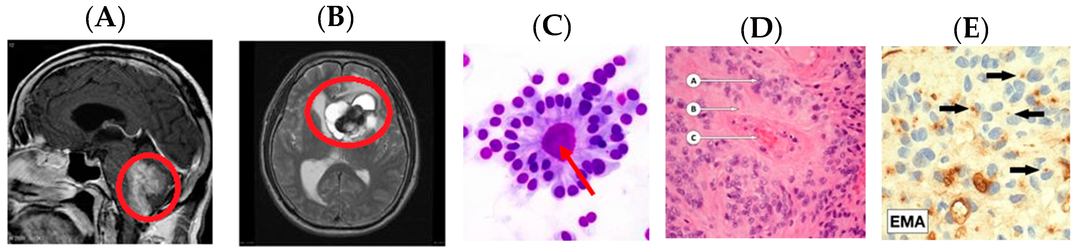 Medsci 05 00016 g009