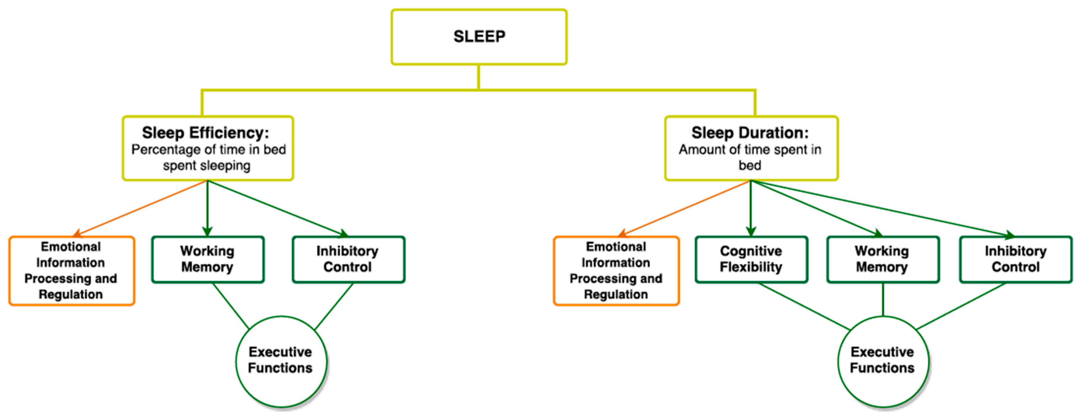 Ef And Theory Of Mind