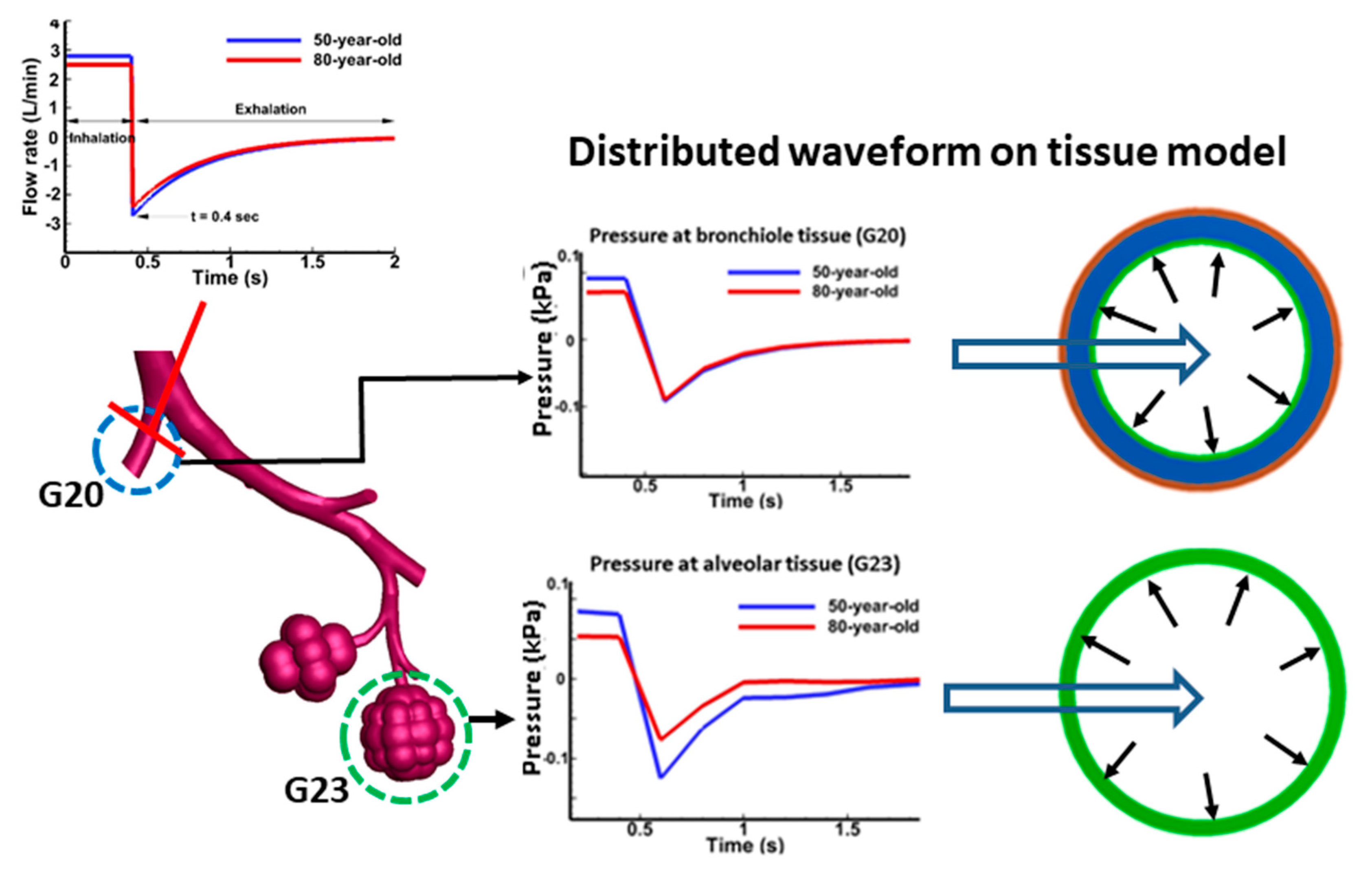 Medsci 05 00021 g002 Medsci 05 00021 g002