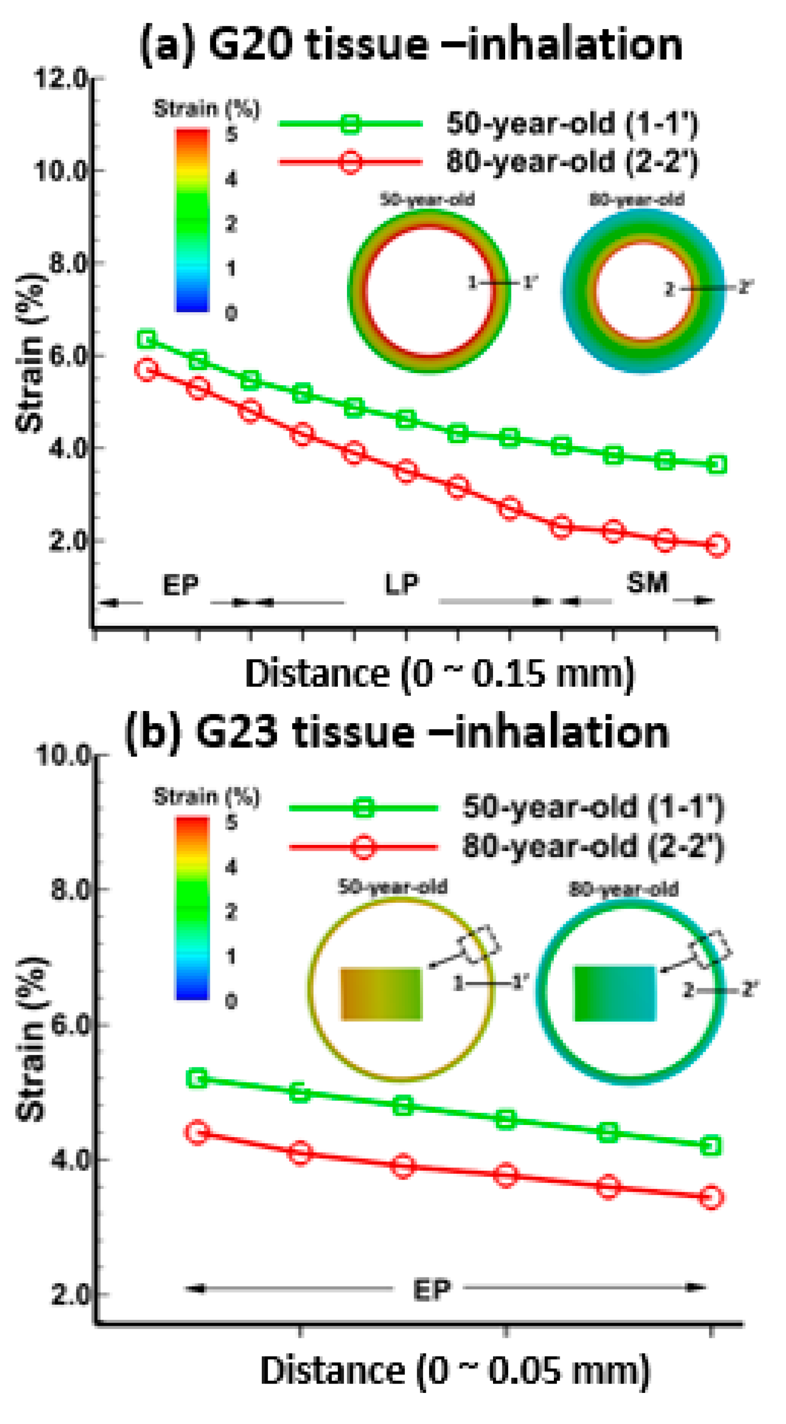 Medsci 05 00021 g004 Medsci 05 00021 g004