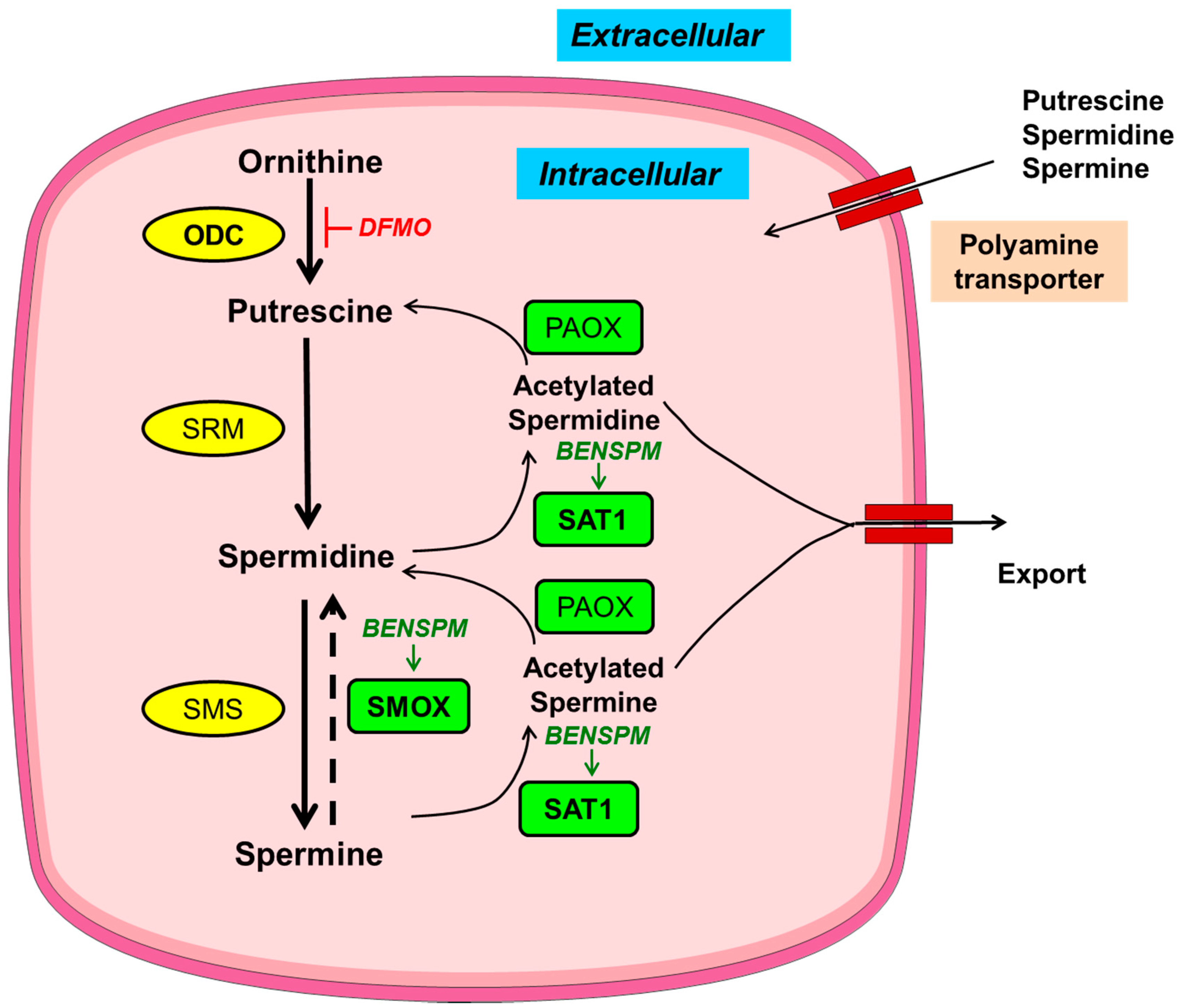 Medsci 06 00004 g001 550
