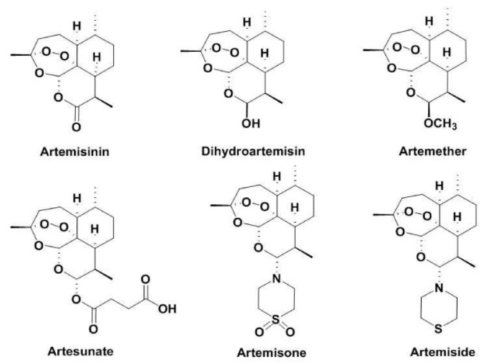 Medsci 06 00019 g001 Medsci 06 00019 g001