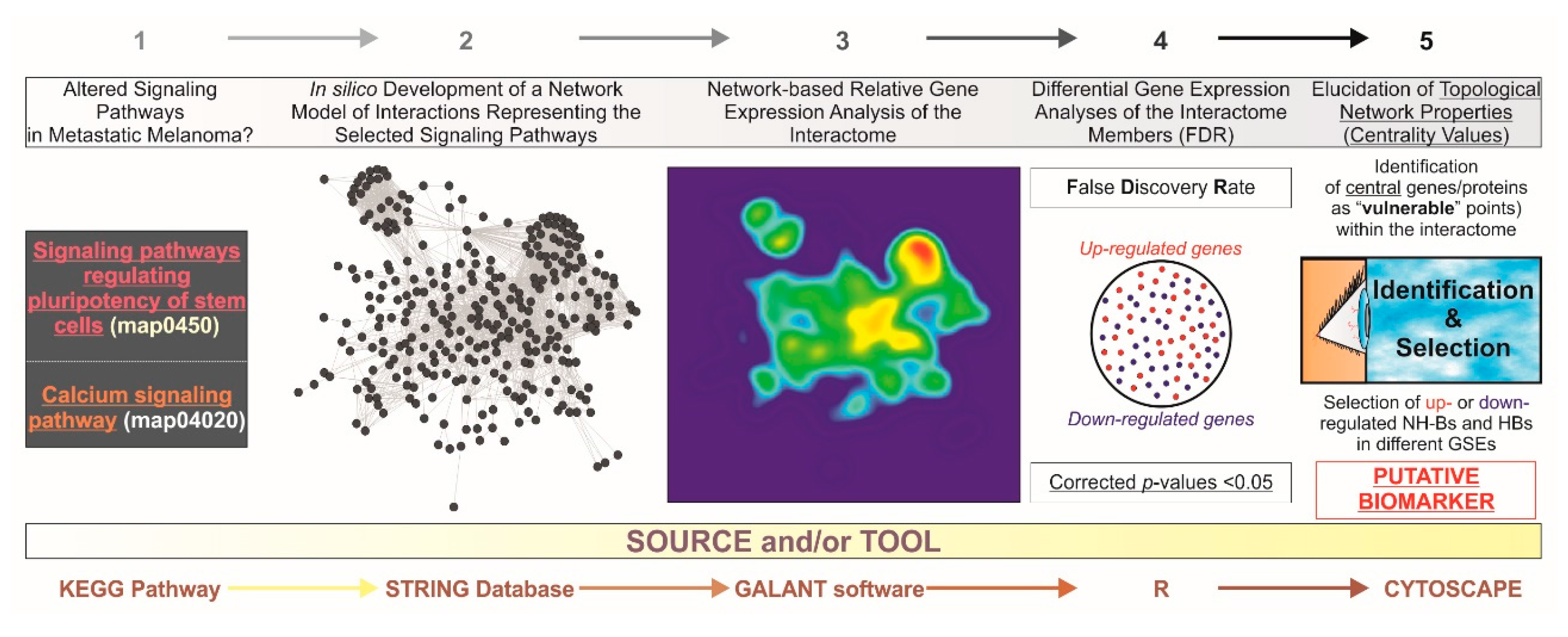 Medsci 06 00023 g001 Medsci 06 00023 g001