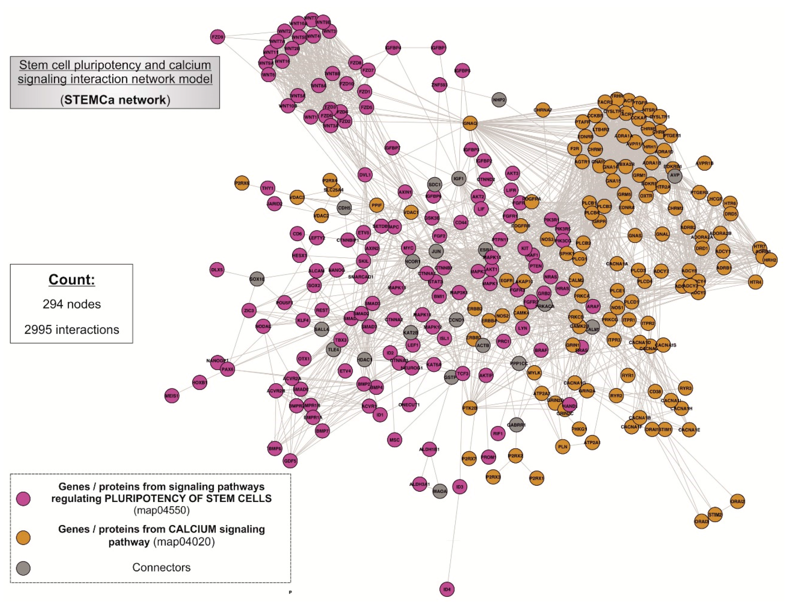 Medsci 06 00023 g002 Medsci 06 00023 g002