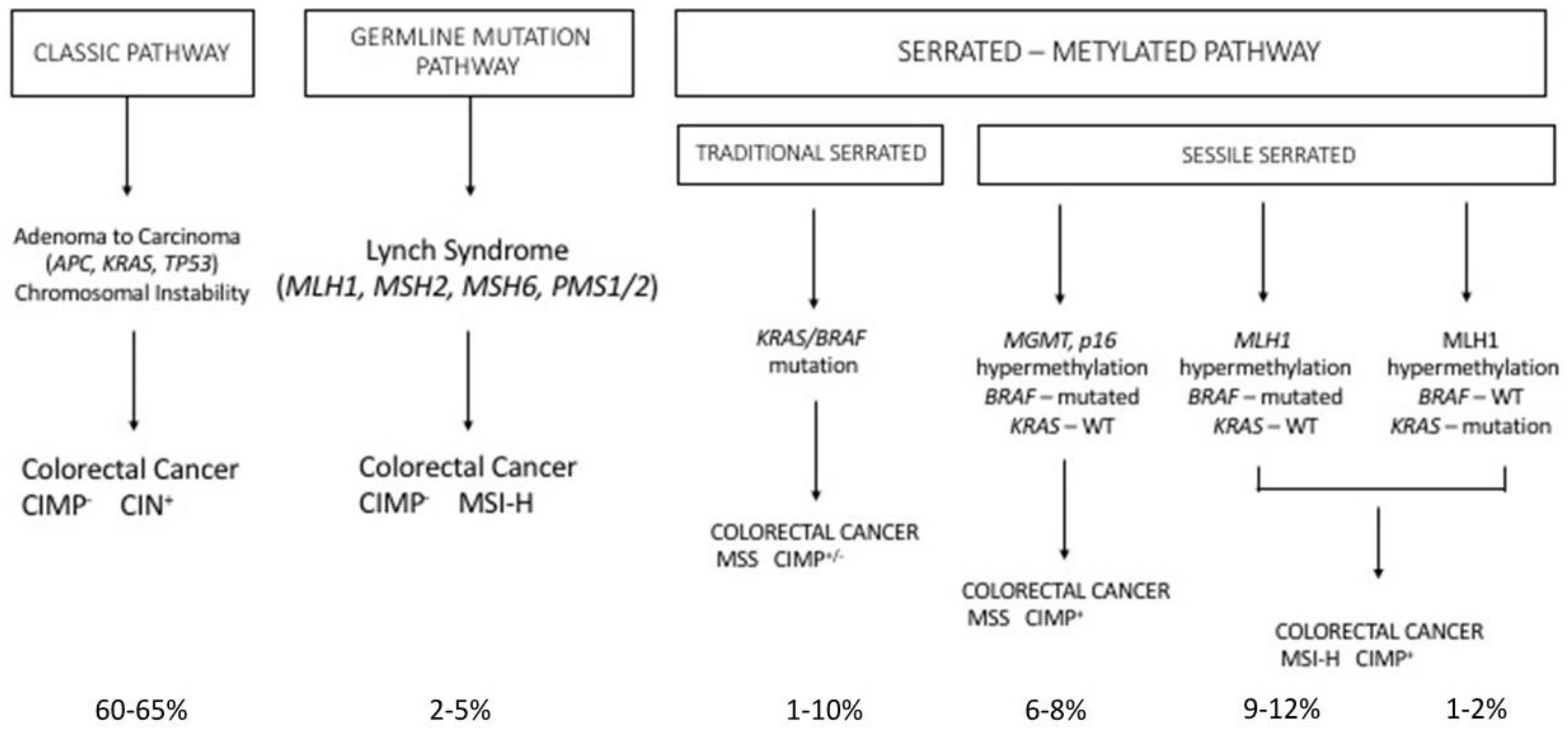 Medsci 06 00031 g003 Medsci 06 00031 g003