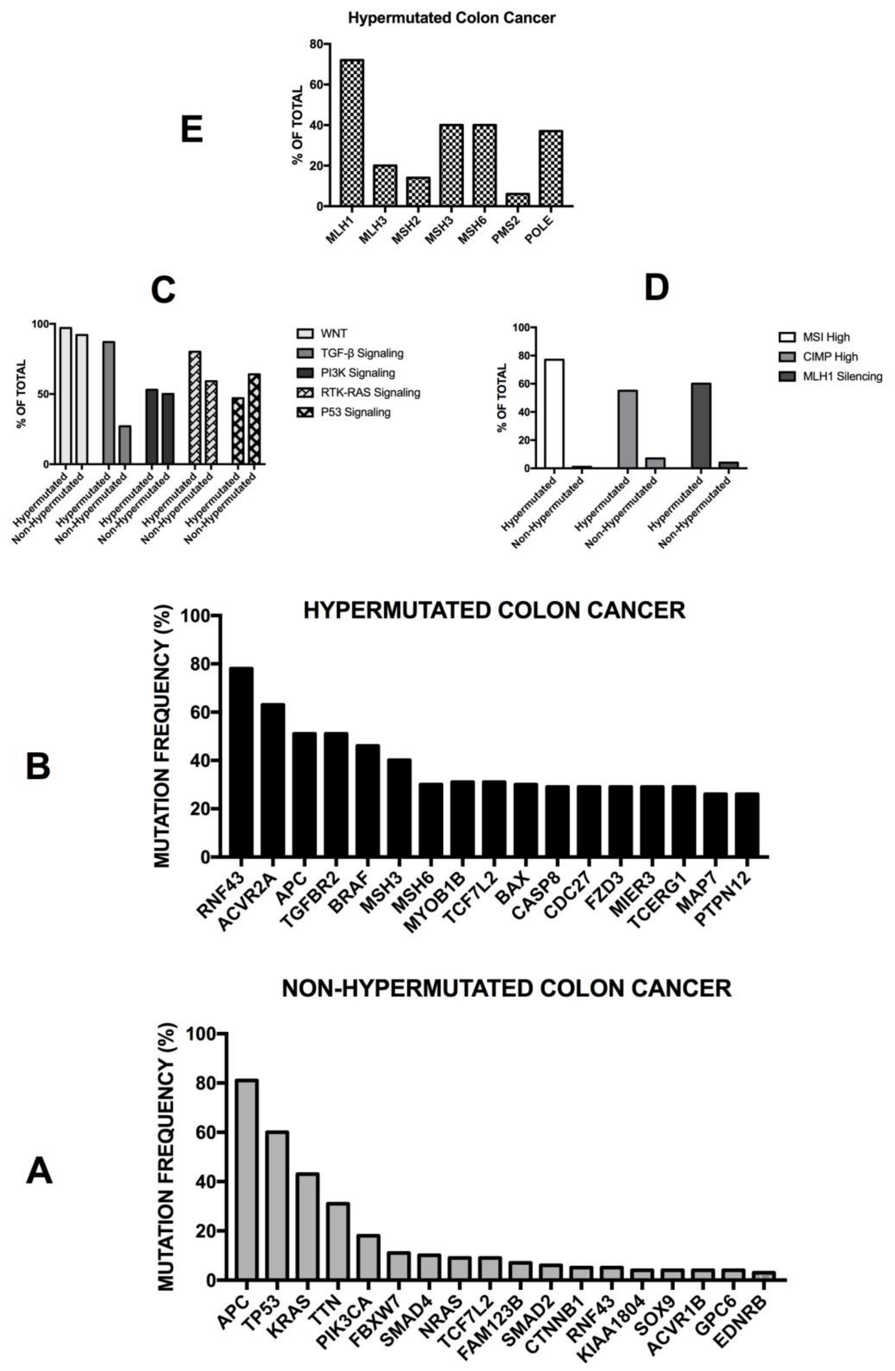 Medsci 06 00031 g004 Medsci 06 00031 g004