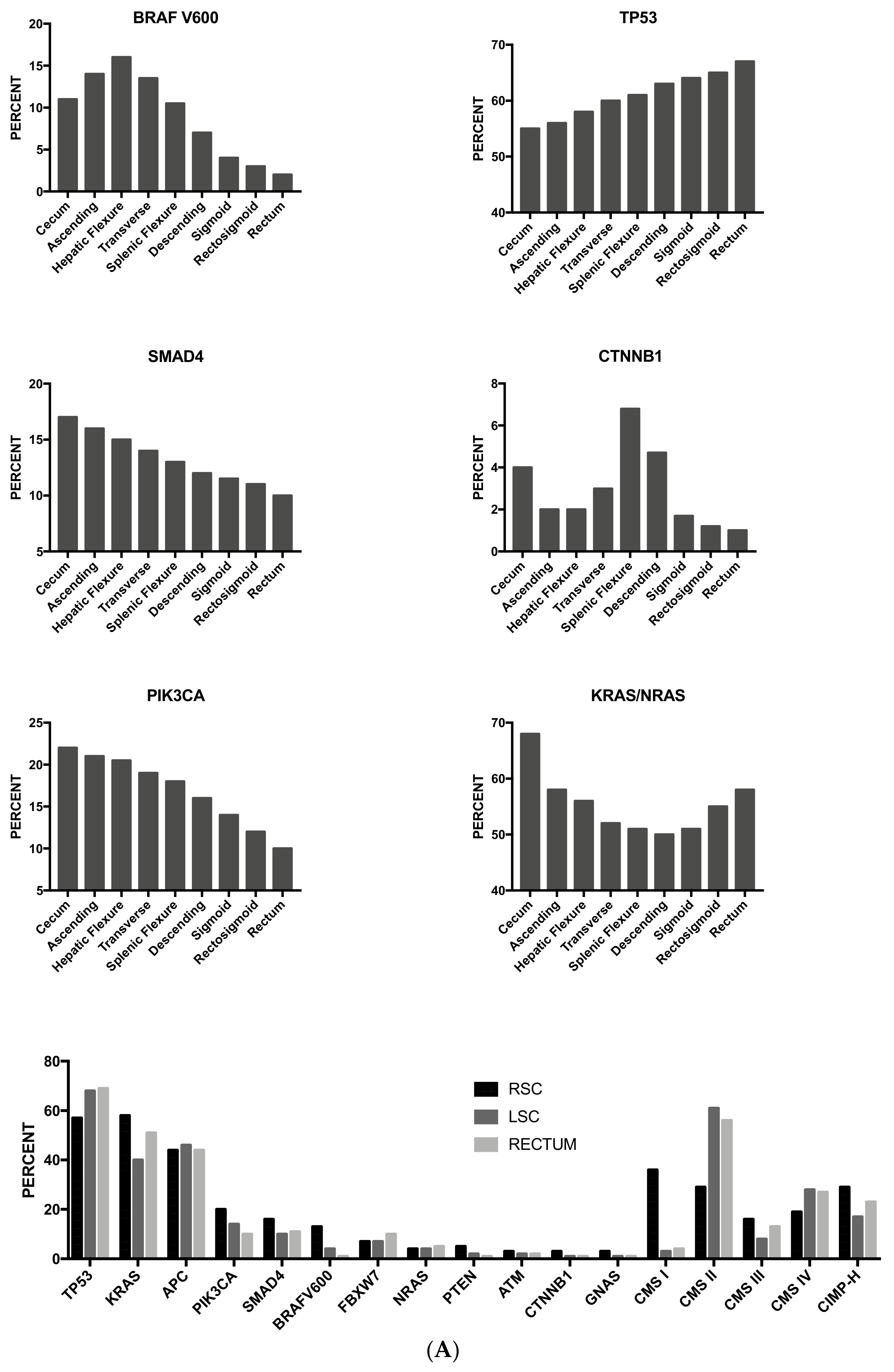 Medsci 06 00031 g008a Medsci 06 00031 g008a