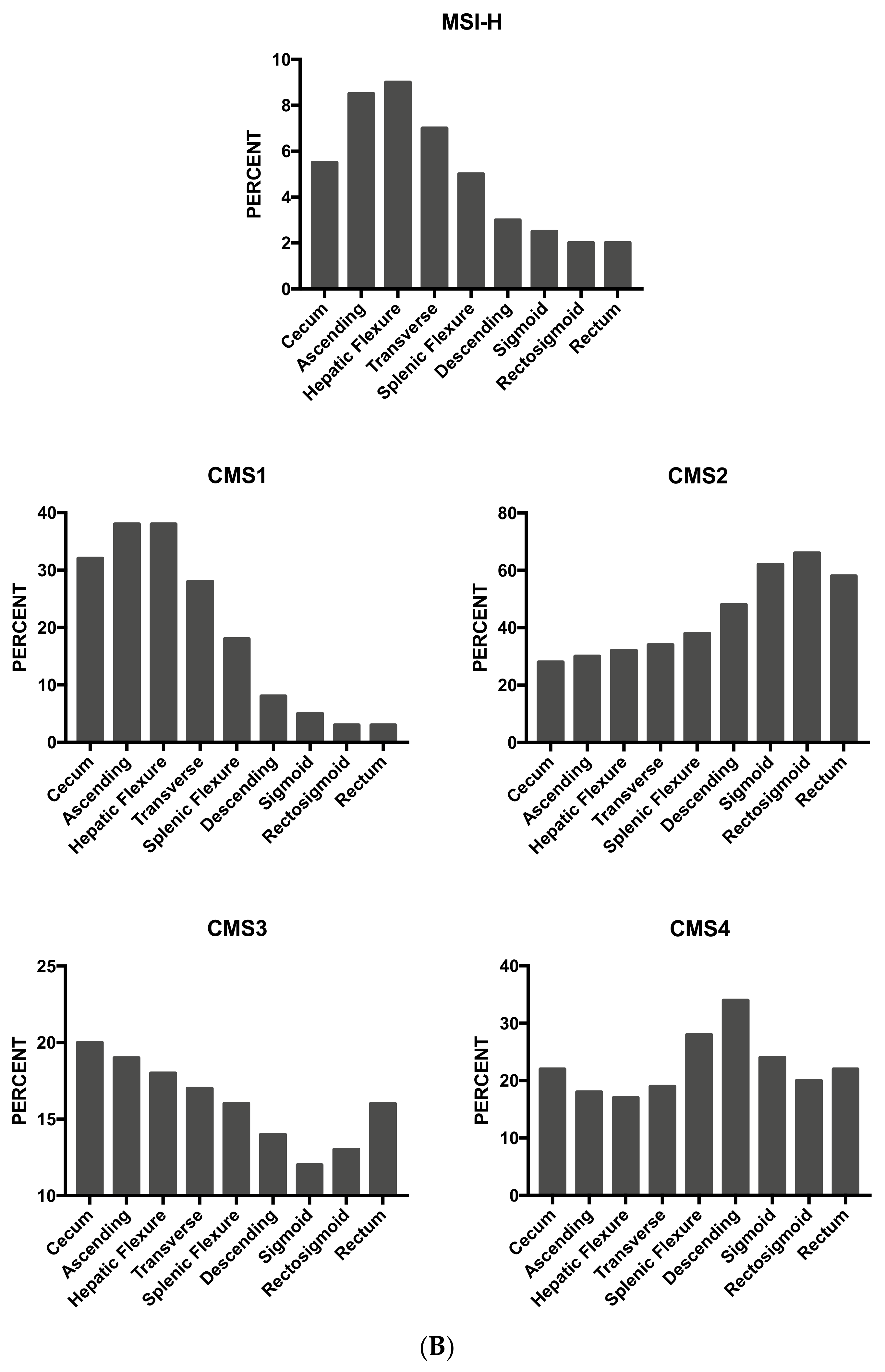 Medsci 06 00031 g008b Medsci 06 00031 g008b