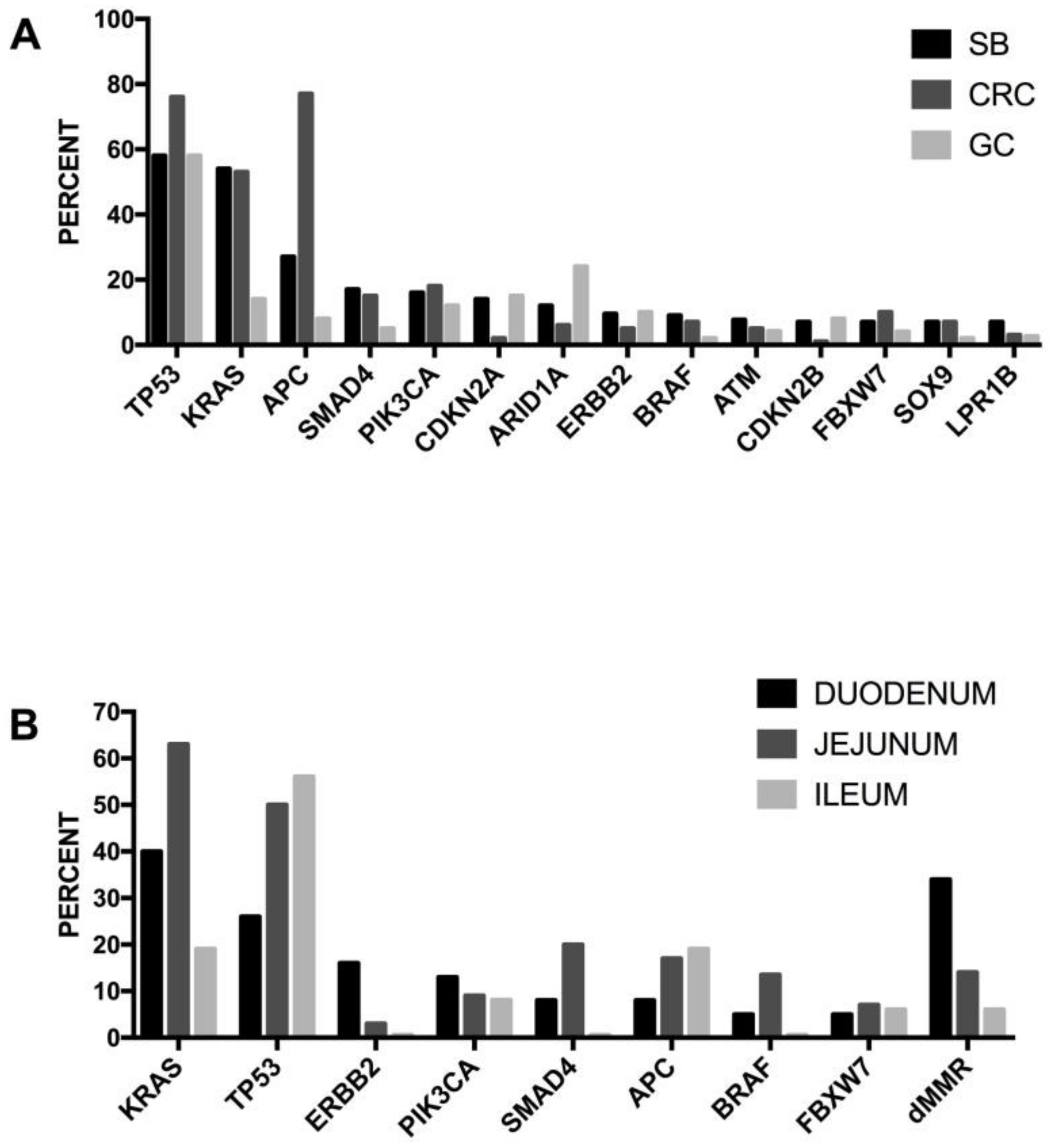 Medsci 06 00031 g011 Medsci 06 00031 g011
