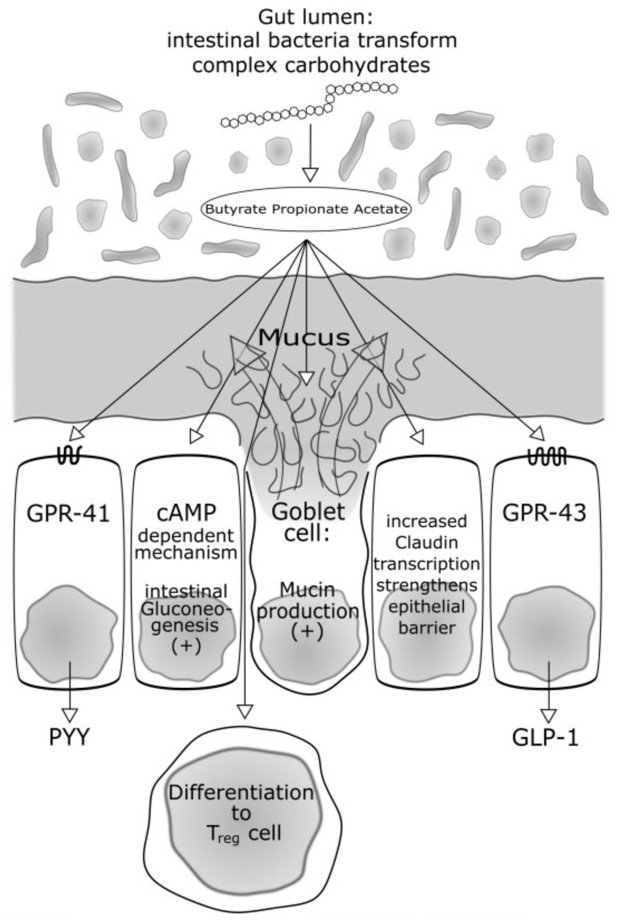Medsci 06 00032 g001