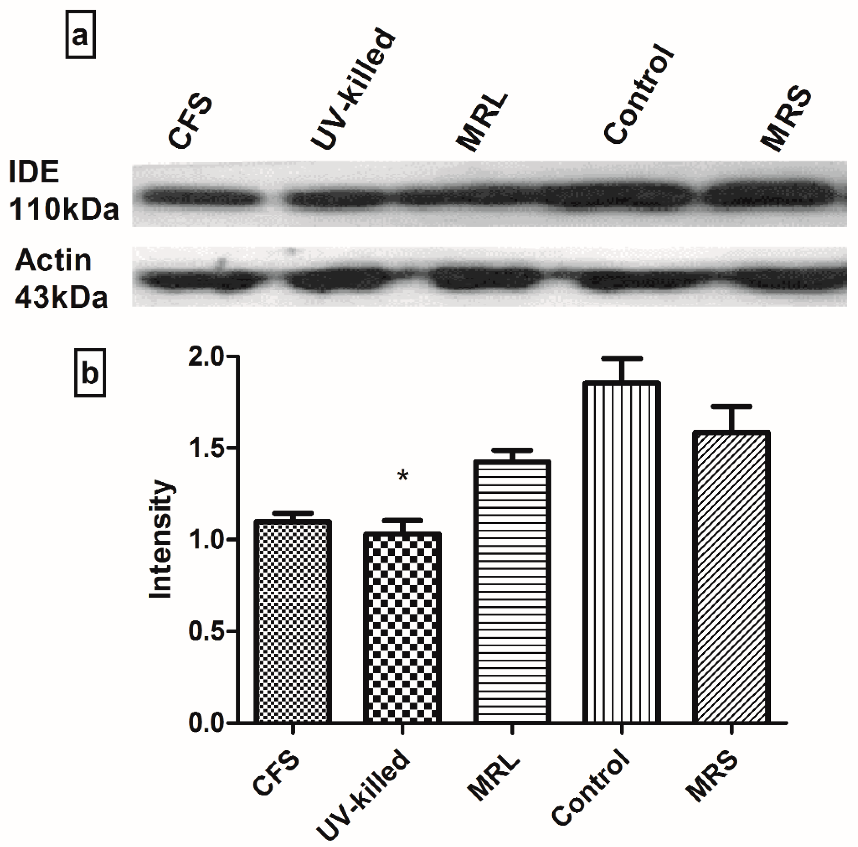 Medsci 06 00036 g002 Medsci 06 00036 g002