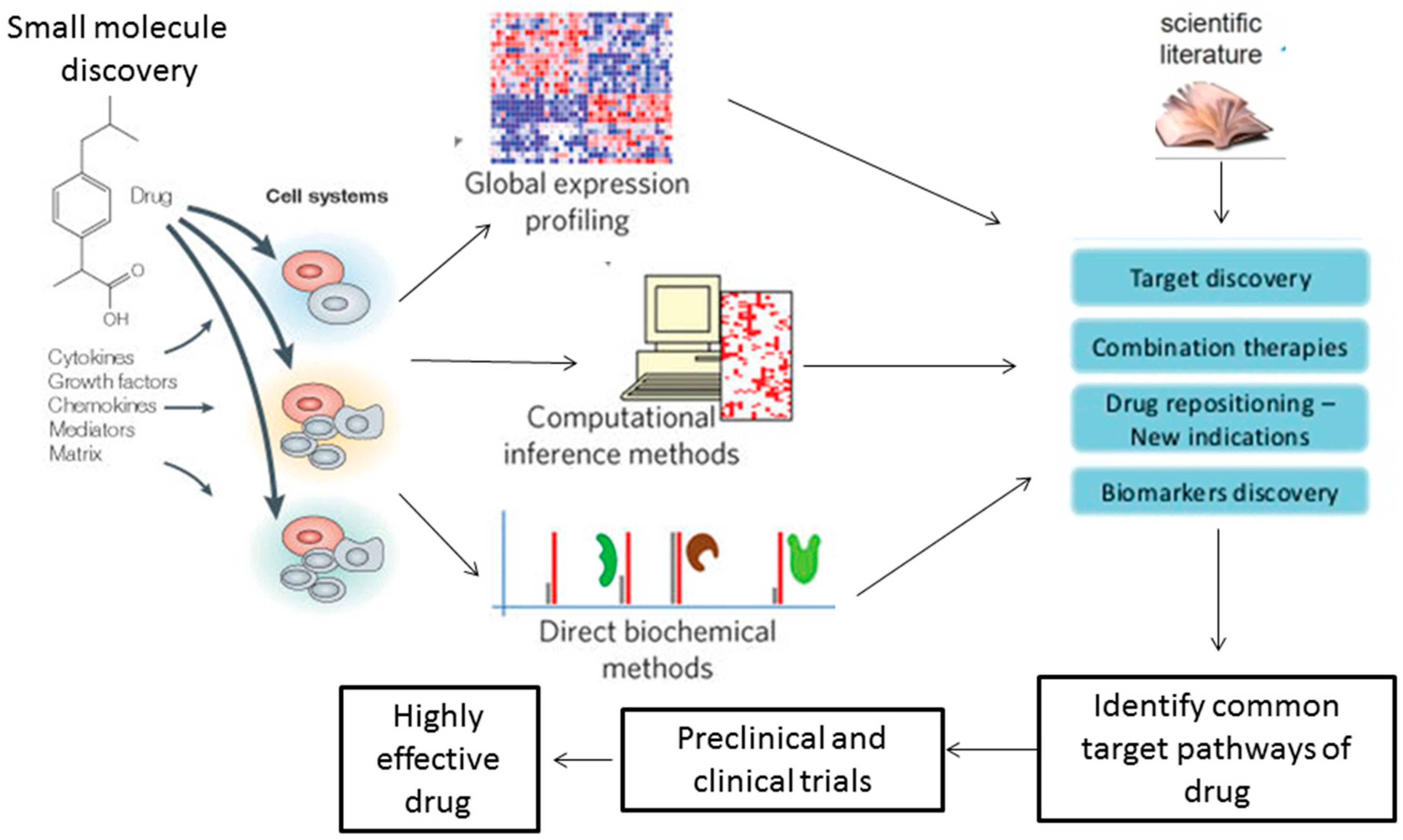 Medsci 06 00043 g001
