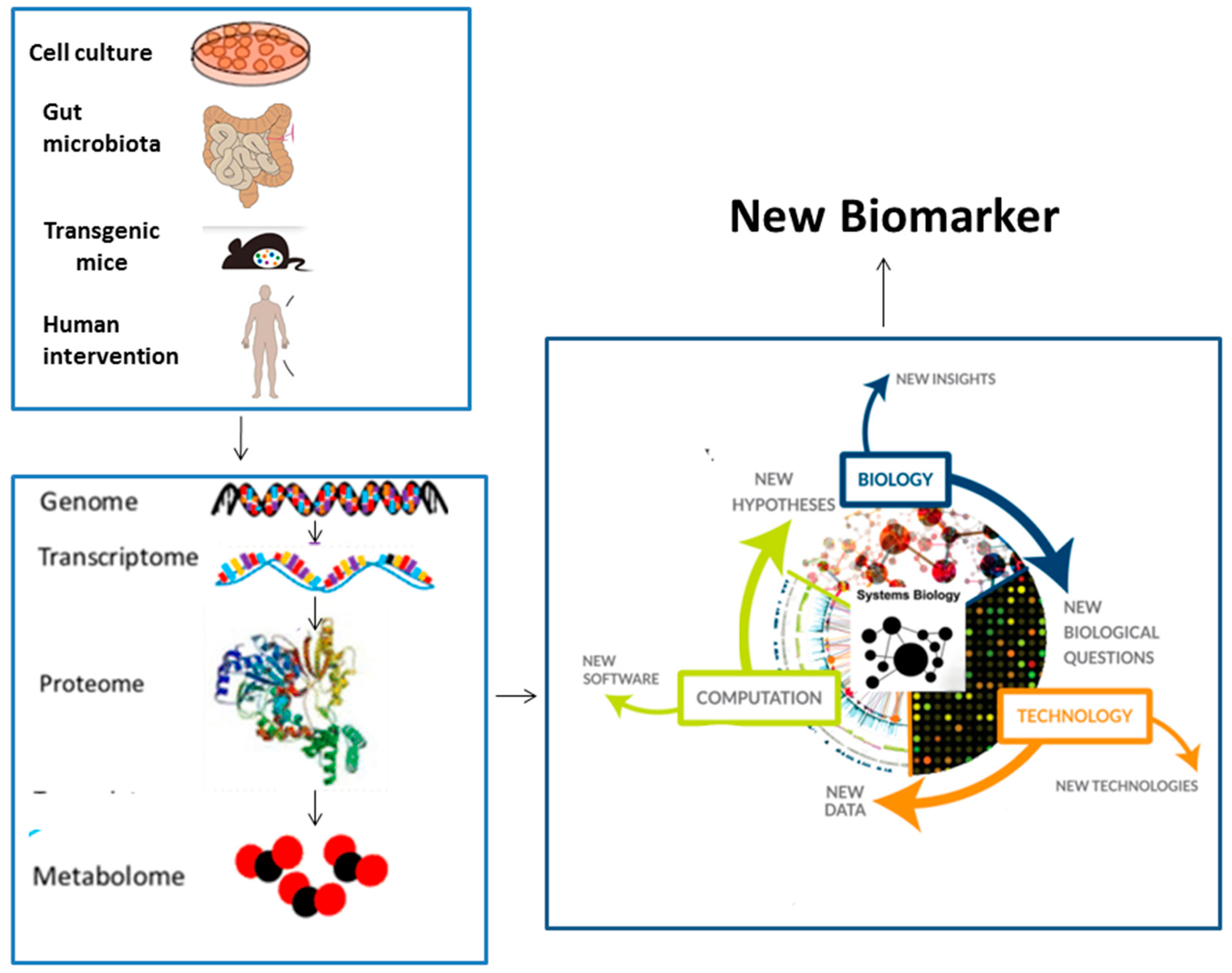 Medsci 06 00043 g002