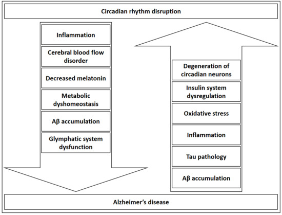 Medical Sciences Free Full Text Circadian Rhythm And - 