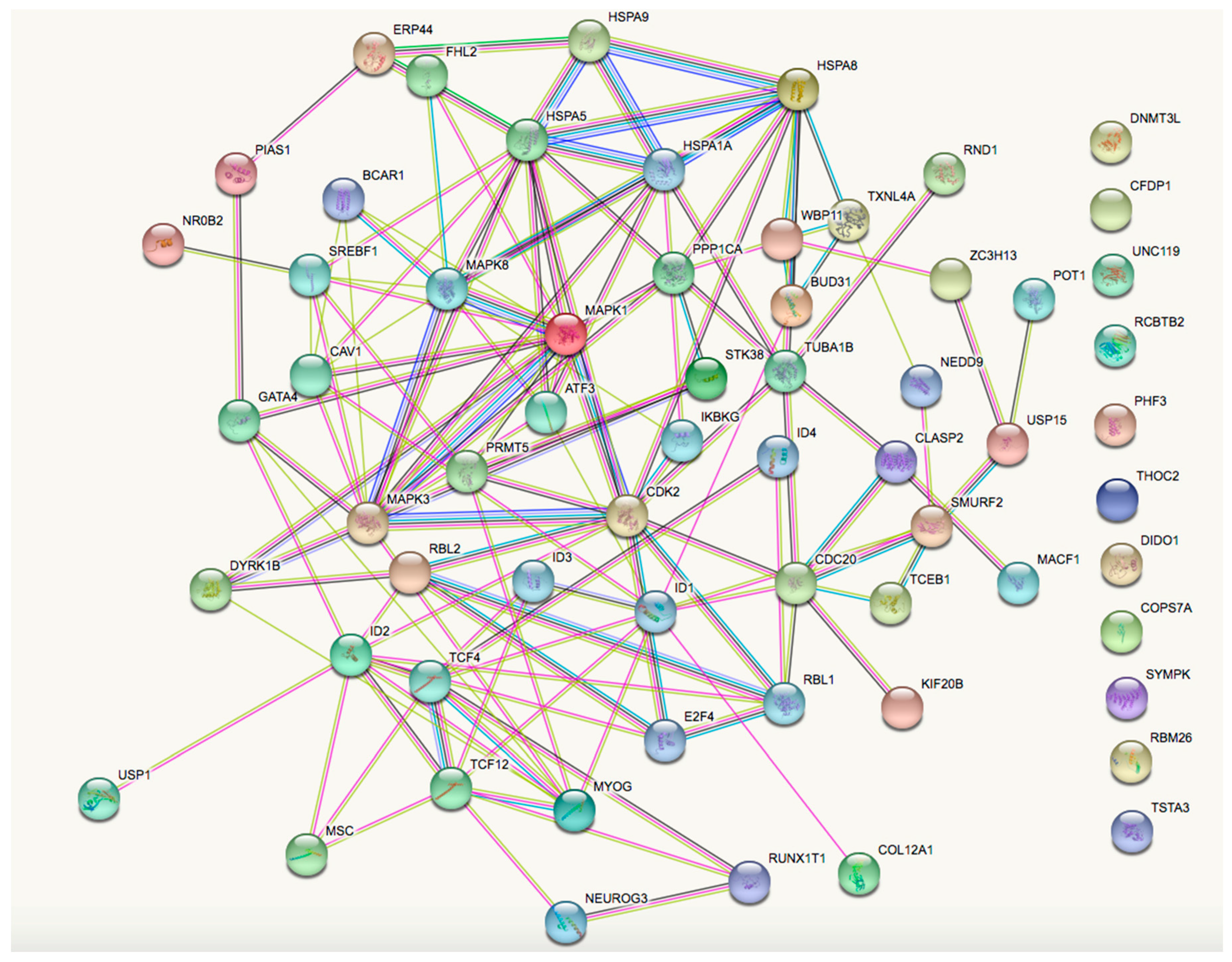 Medsci 06 00061 g003 Medsci 06 00061 g003
