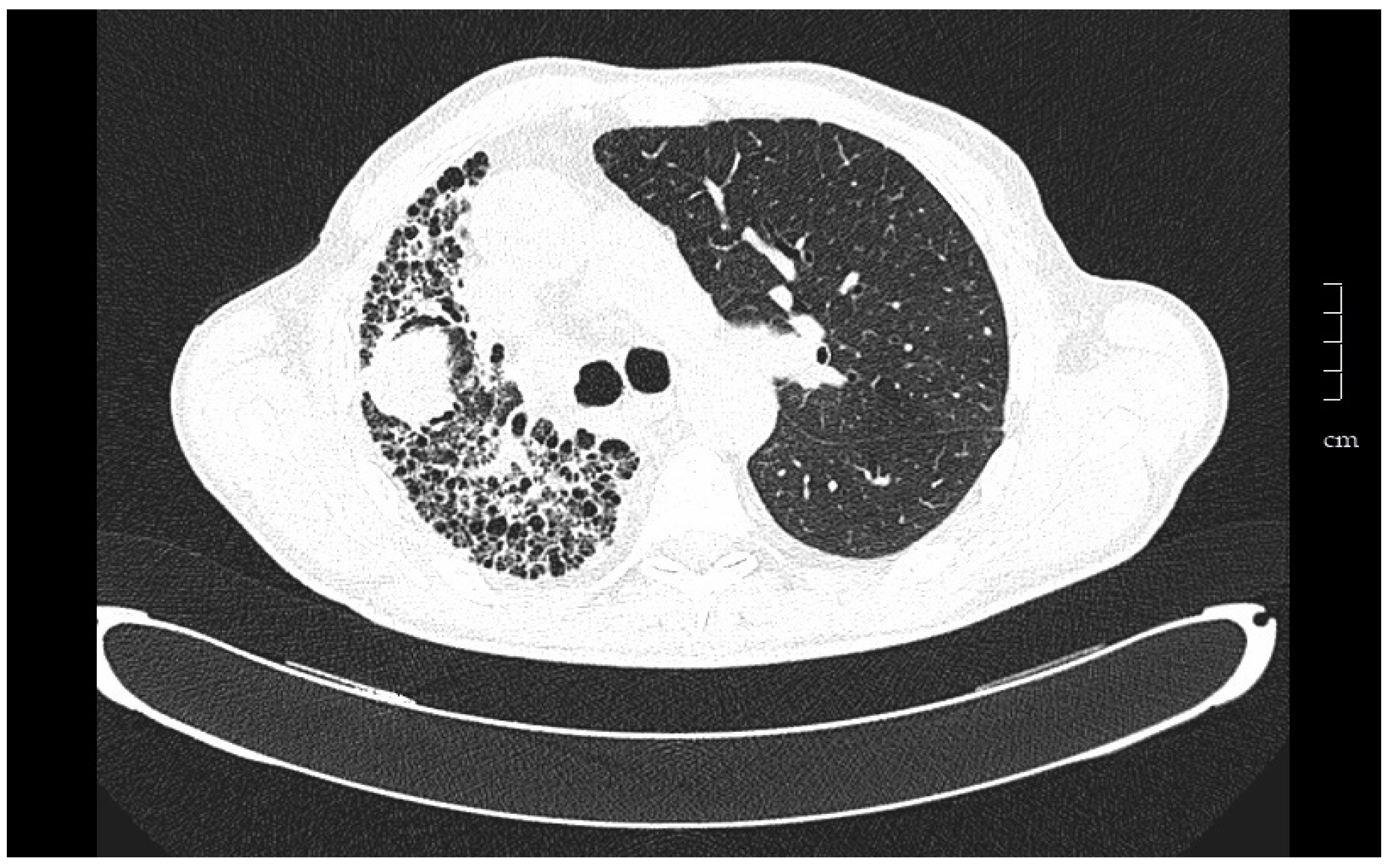 Medsci 06 00068 g001 Medsci 06 00068 g001