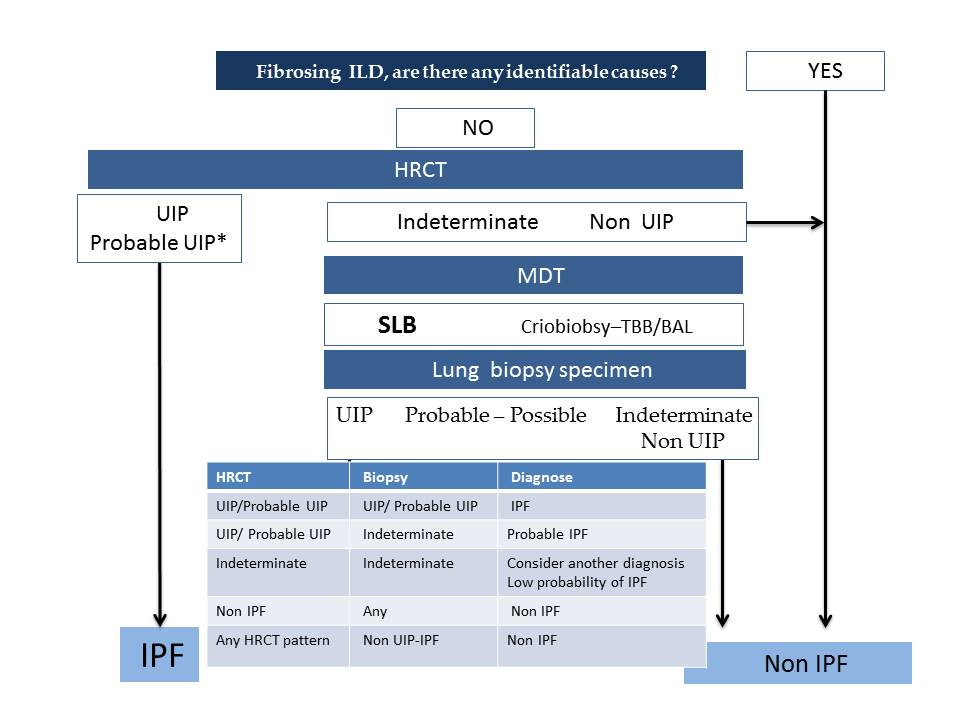 Medical Sciences Free Full Text Diagnosis Of Idiopathic Pulmonary Fibrosis Differential Diagnosis Html