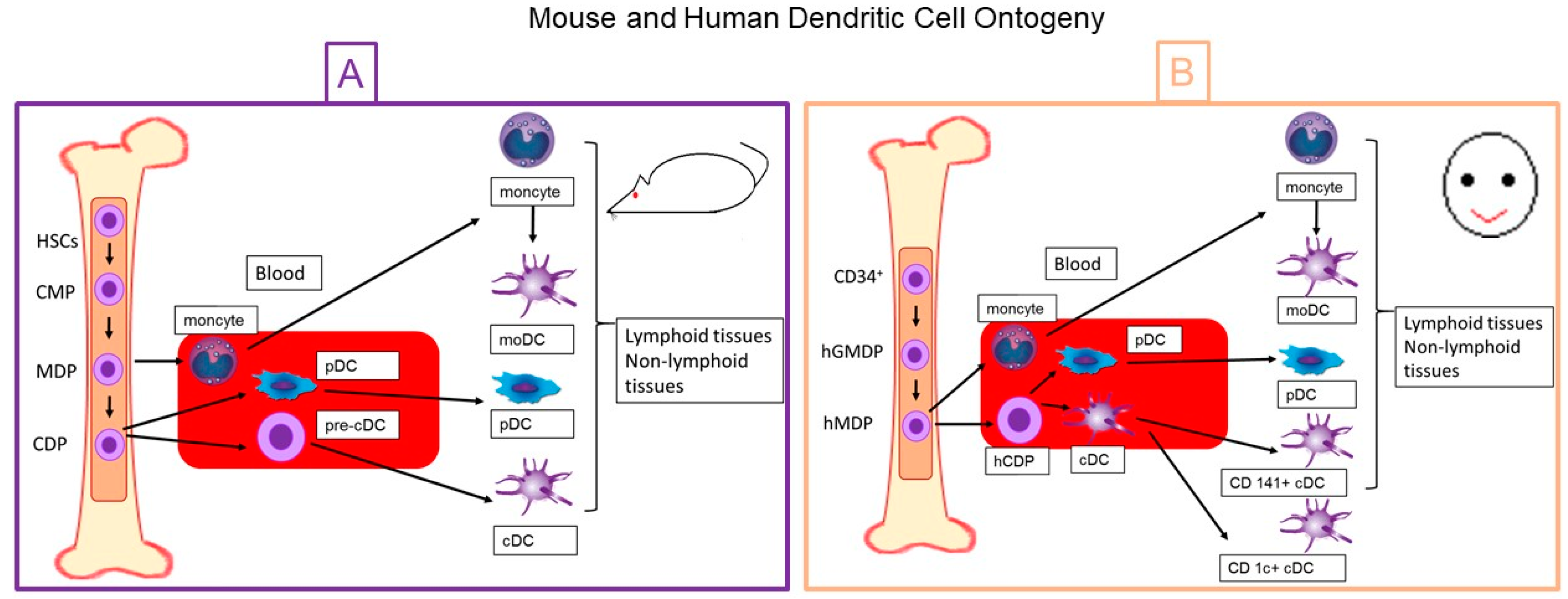 Medsci 06 00088 g001 Medsci 06 00088 g001