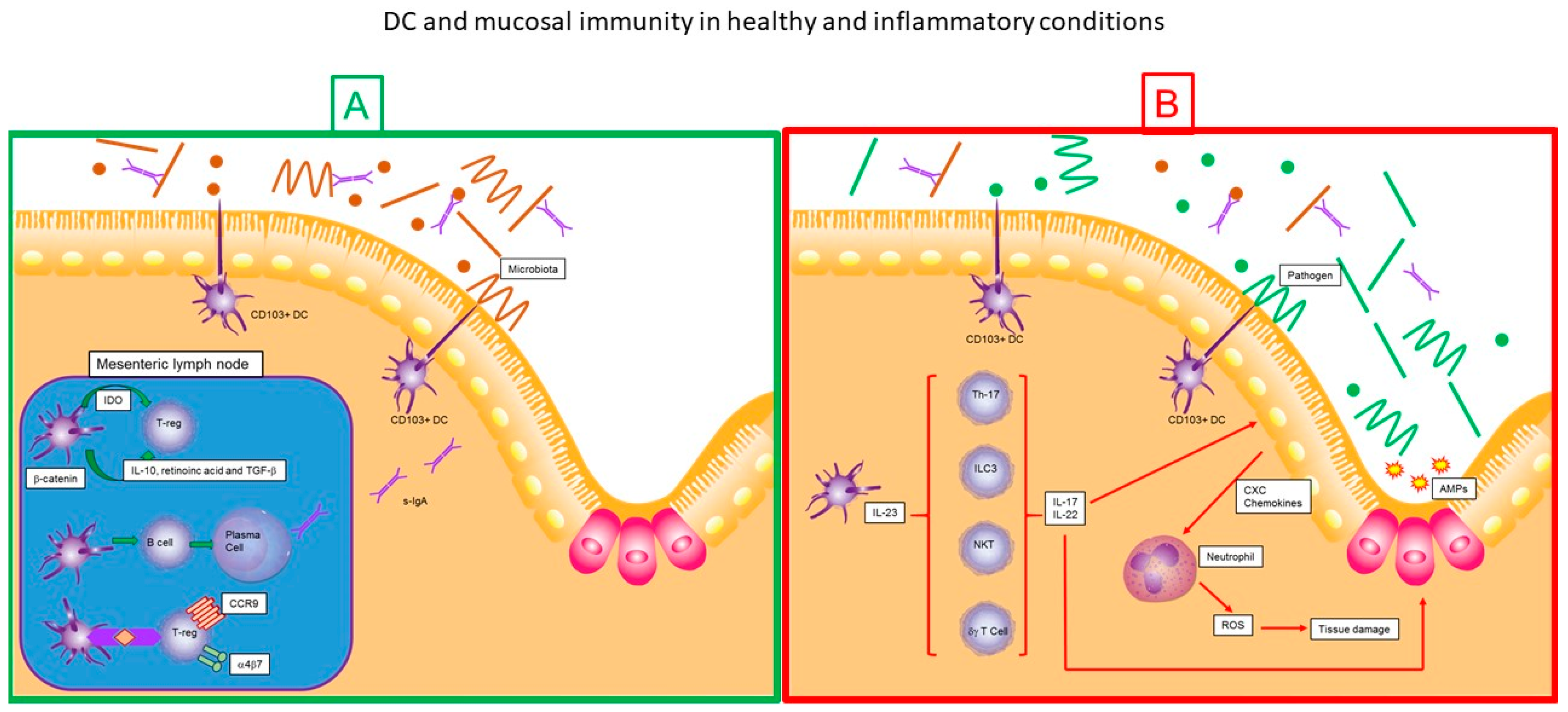 Medsci 06 00088 g003 Medsci 06 00088 g003