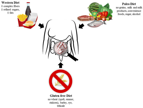 Dietary Effects on Microbiota—New Trends with Gluten-Free or Paleo Diet