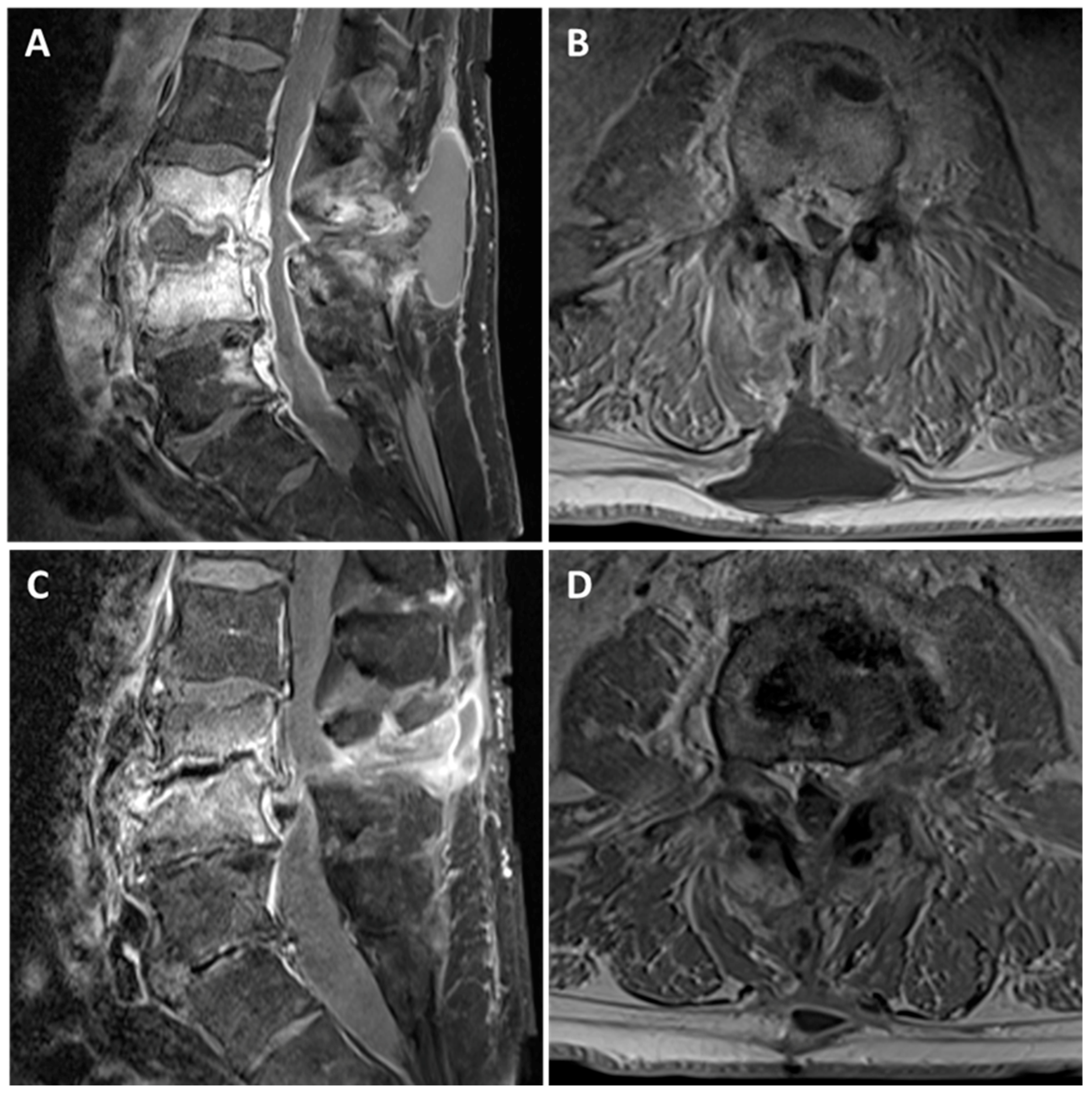 Medsci 06 00096 g001 Medsci 06 00096 g001