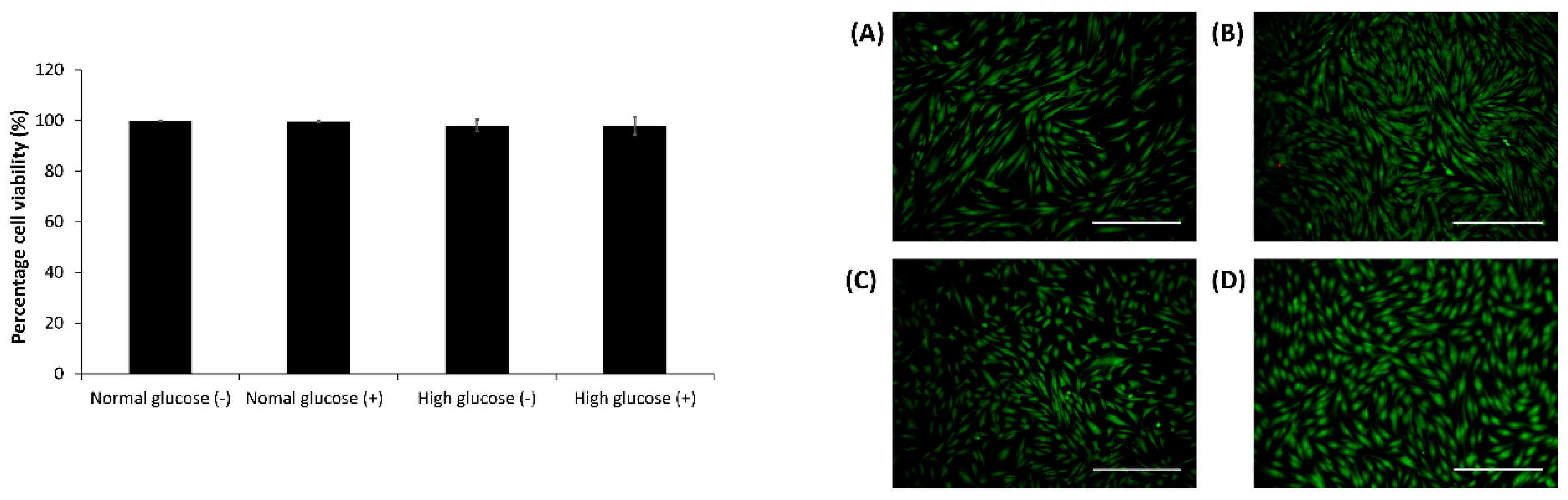 Medsci 06 00099 g002
