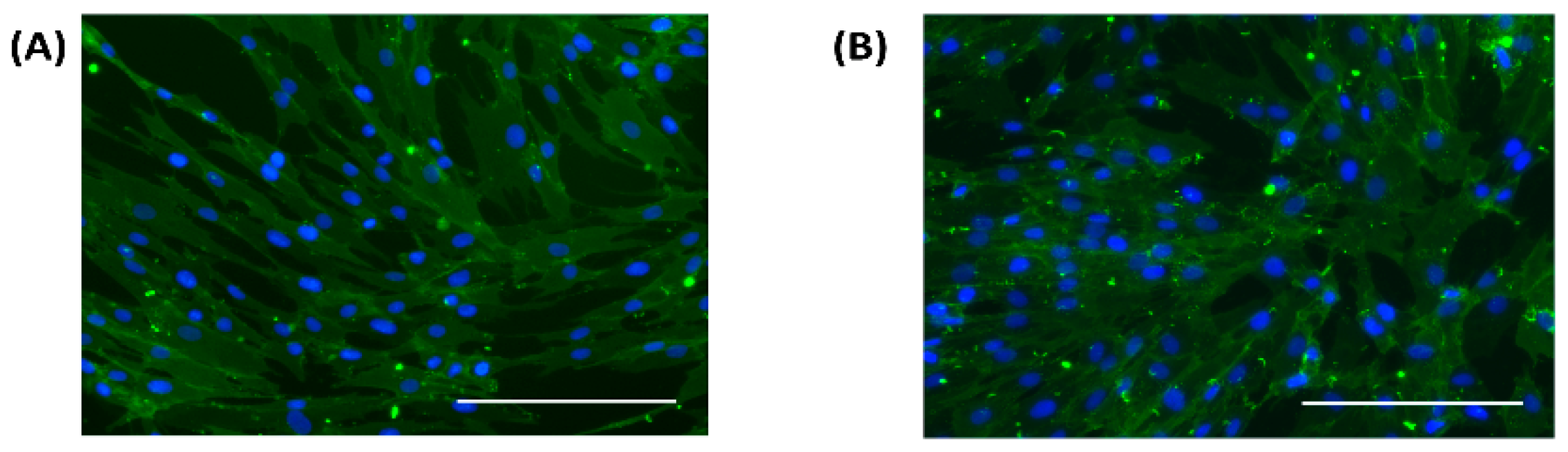 Medsci 06 00099 g004