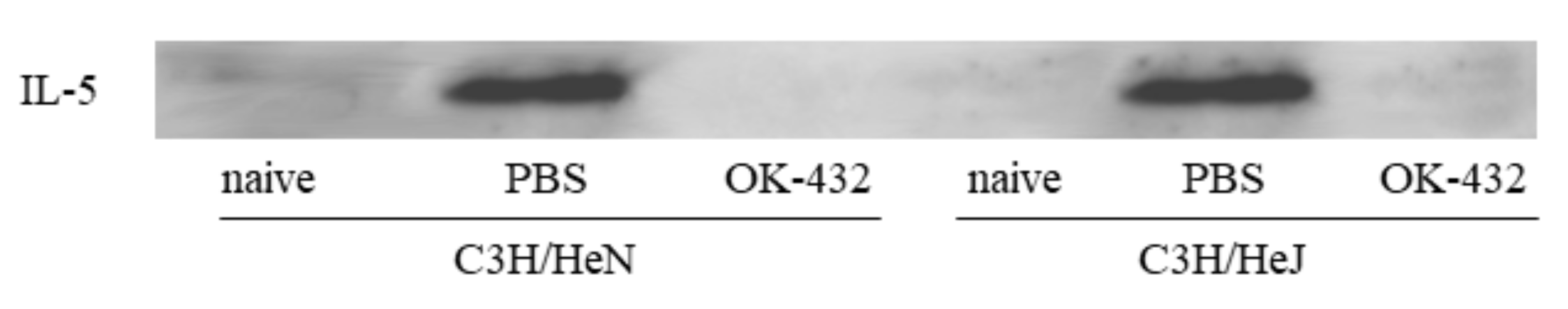 Medsci 06 00107 g007