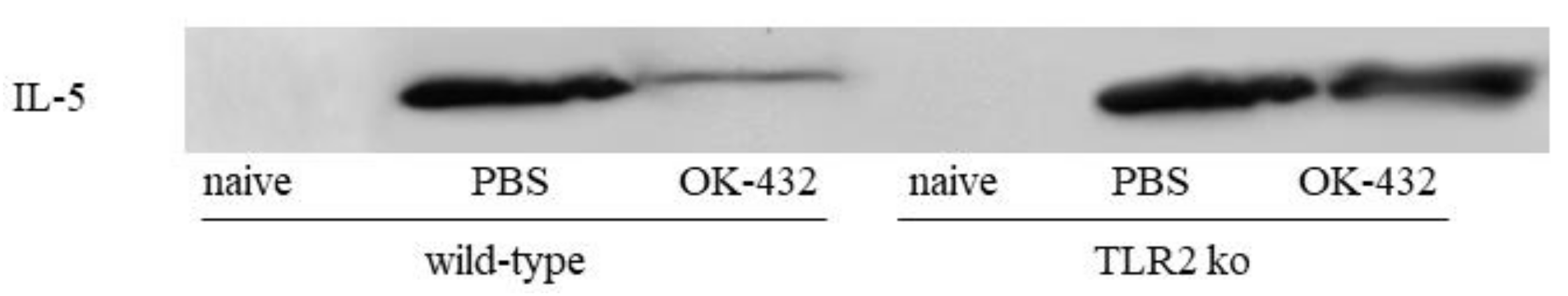 Medsci 06 00107 g012