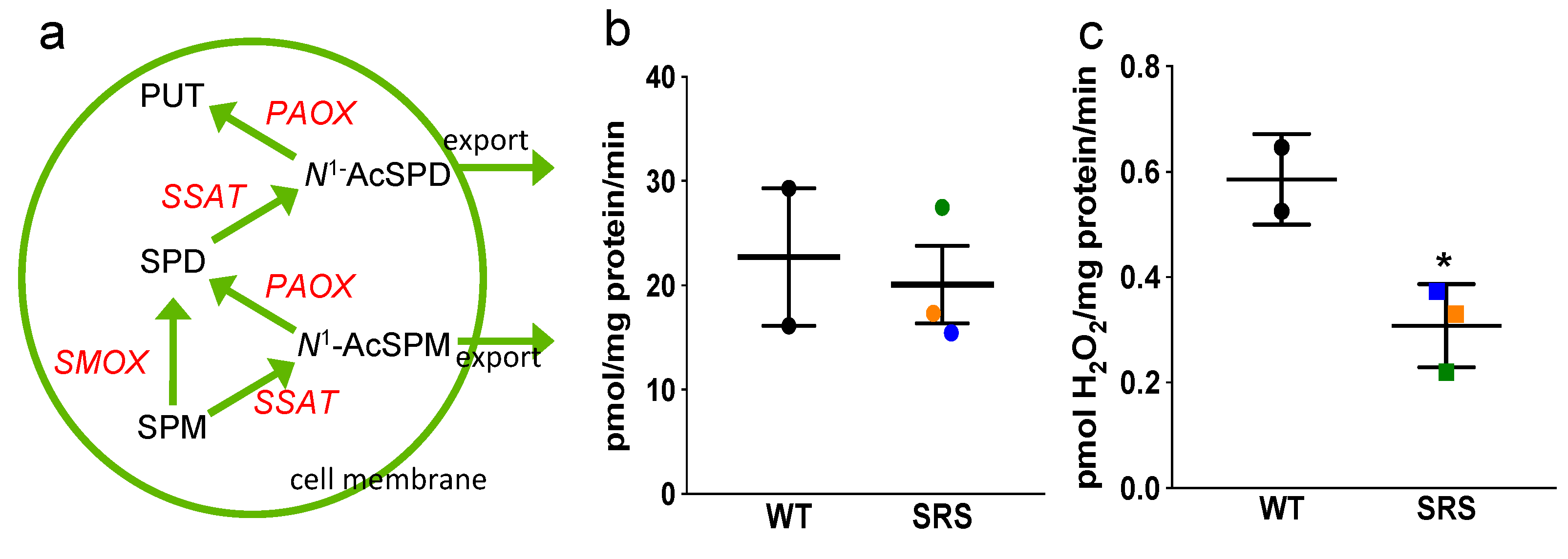 Medsci 06 00112 g005 Medsci 06 00112 g005