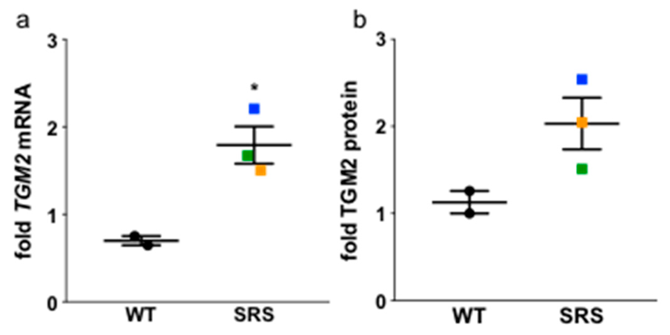 Medsci 06 00112 g008 Medsci 06 00112 g008