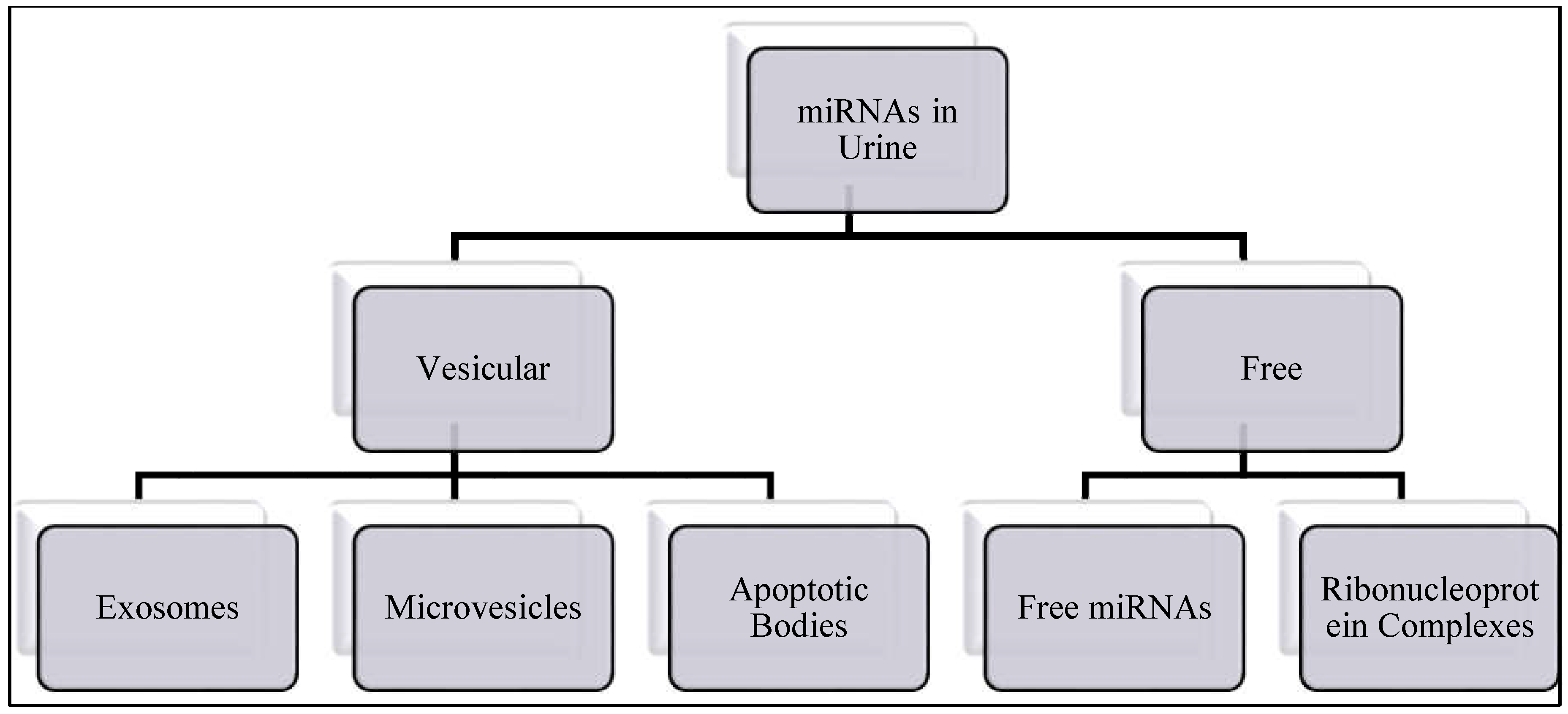 Medsci 06 00113 g001 Medsci 06 00113 g001