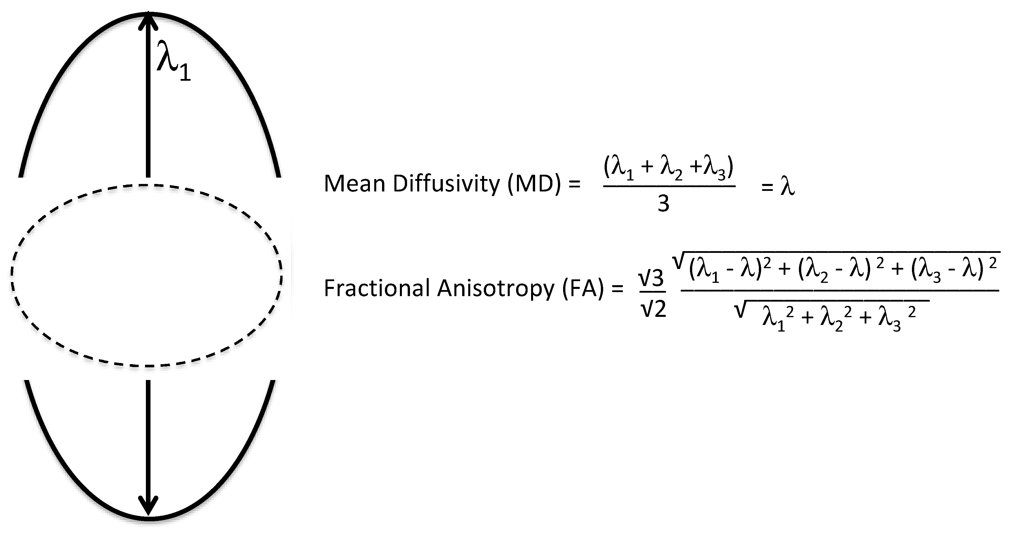 Medsci 07 00002 g009 Medsci 07 00002 g009