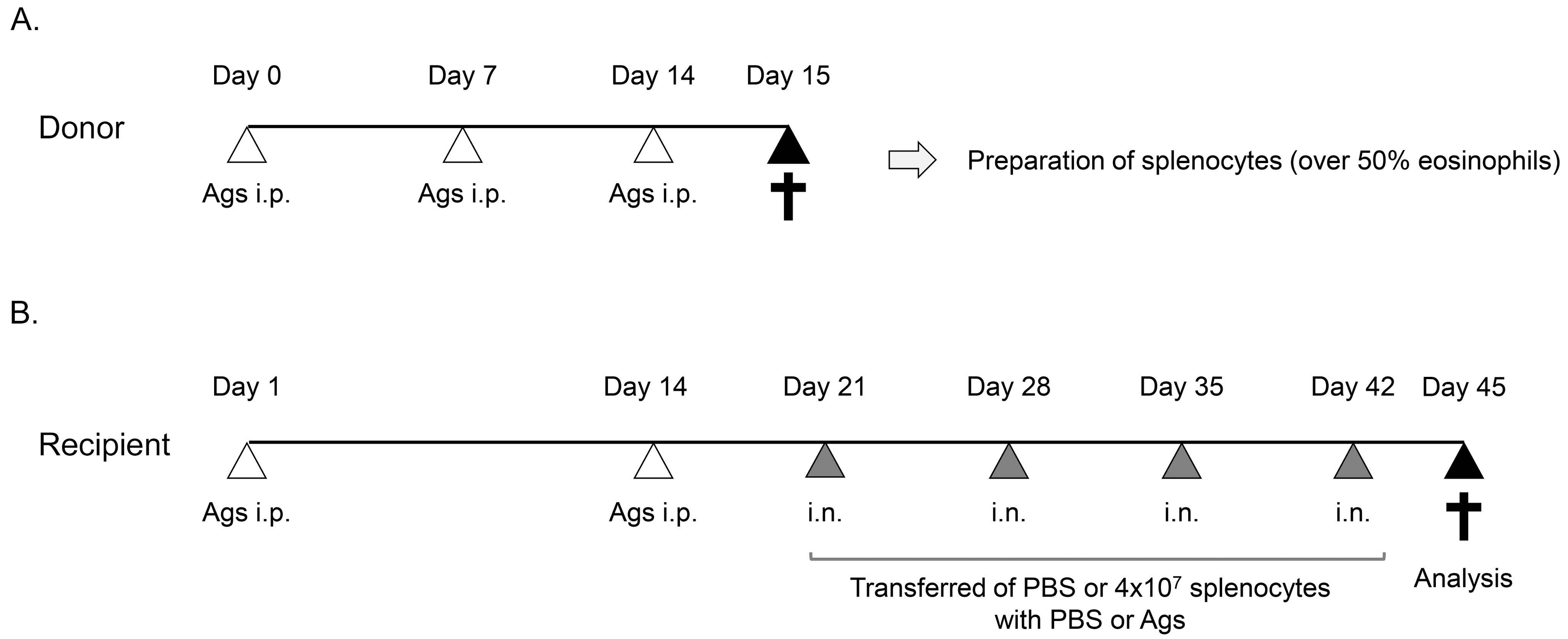 Medsci 07 00022 g001