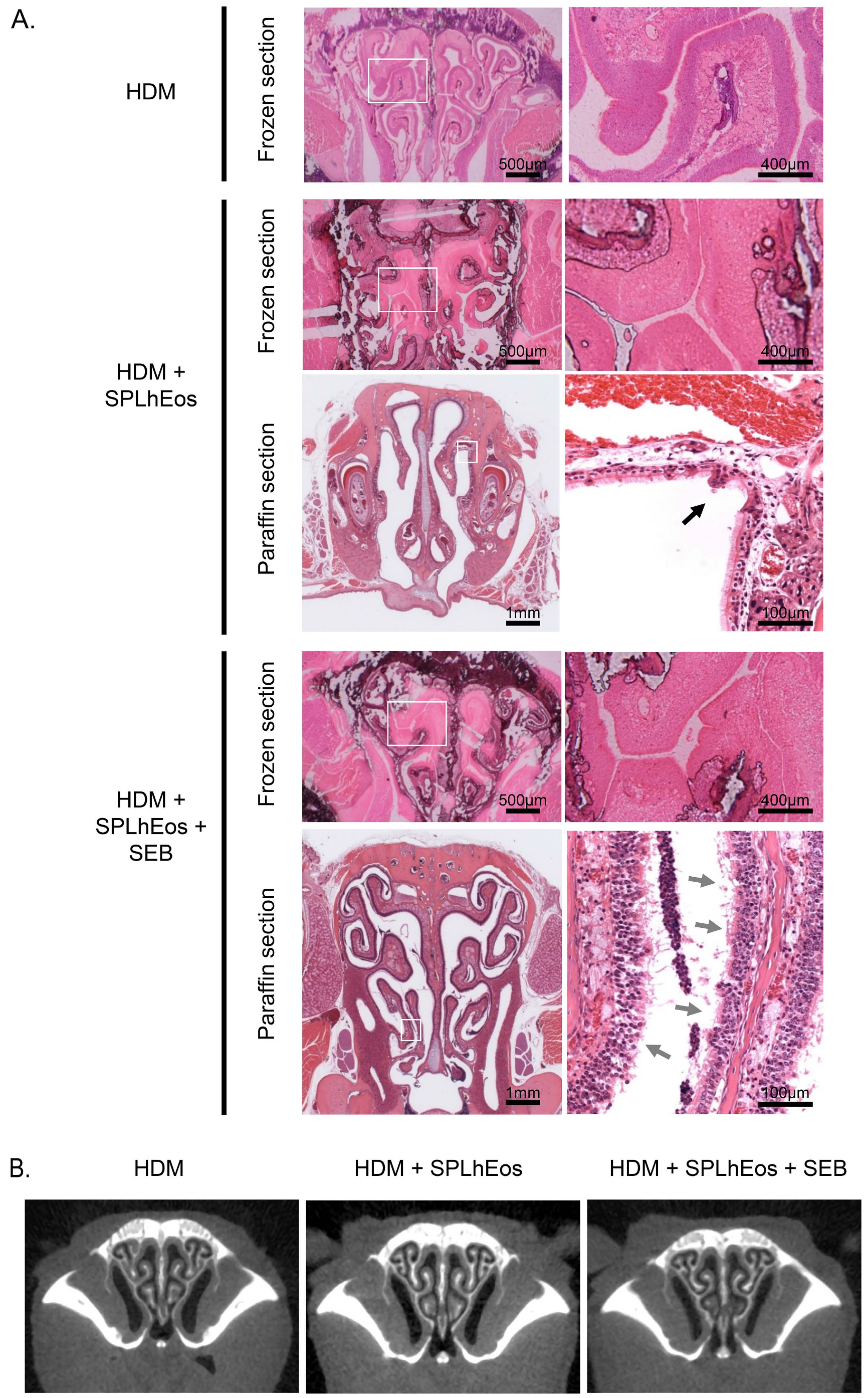 Medsci 07 00022 g003