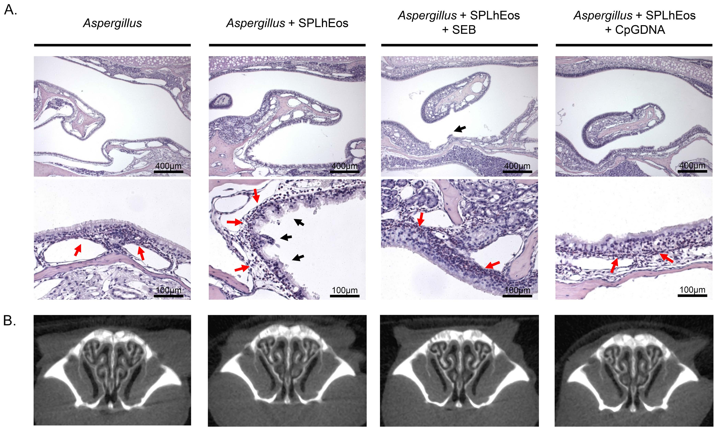 Medsci 07 00022 g004